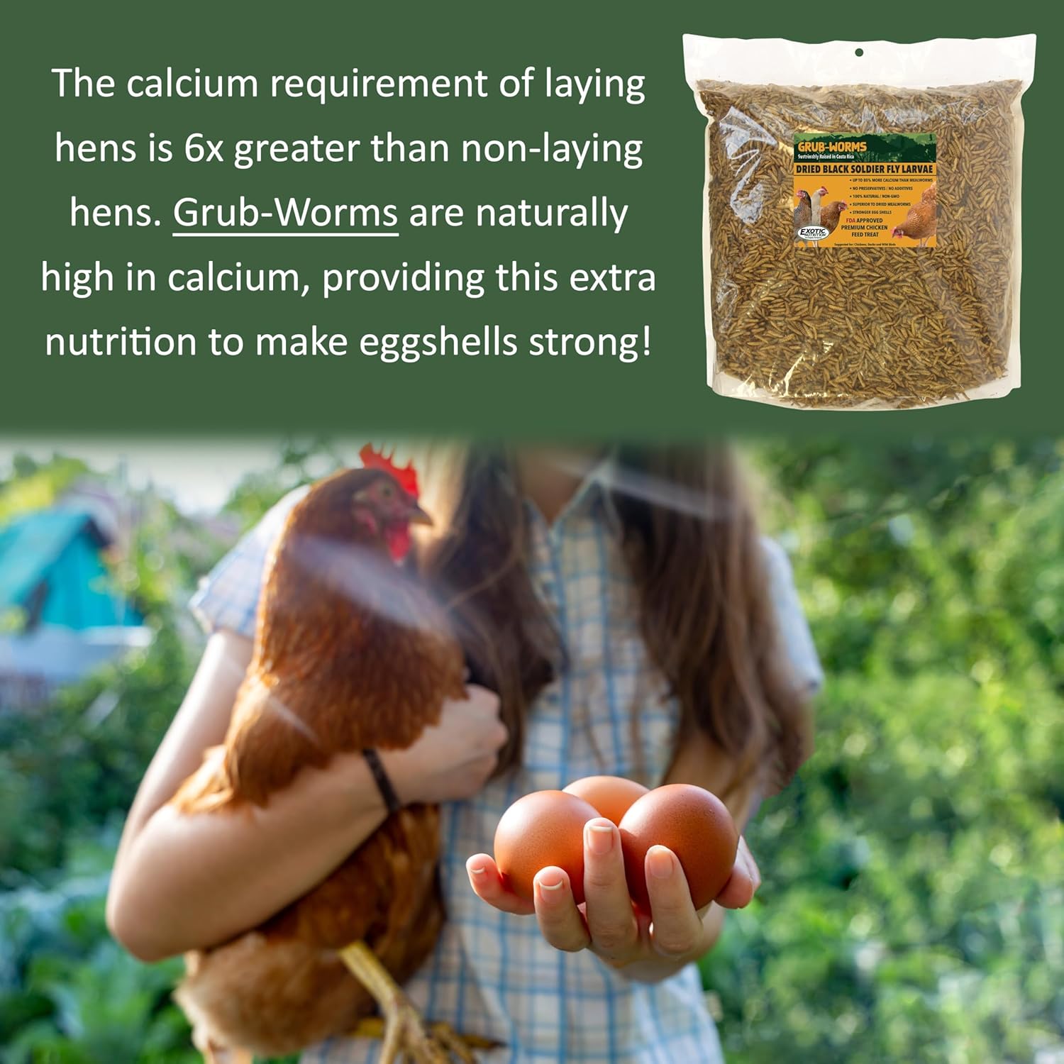 Exotic Nutrition 40 LB Grub-Worms Chicken Feed | Grown in Americas | Better Than Mealworms | Dried Black Soldier Fly Larvae BSF