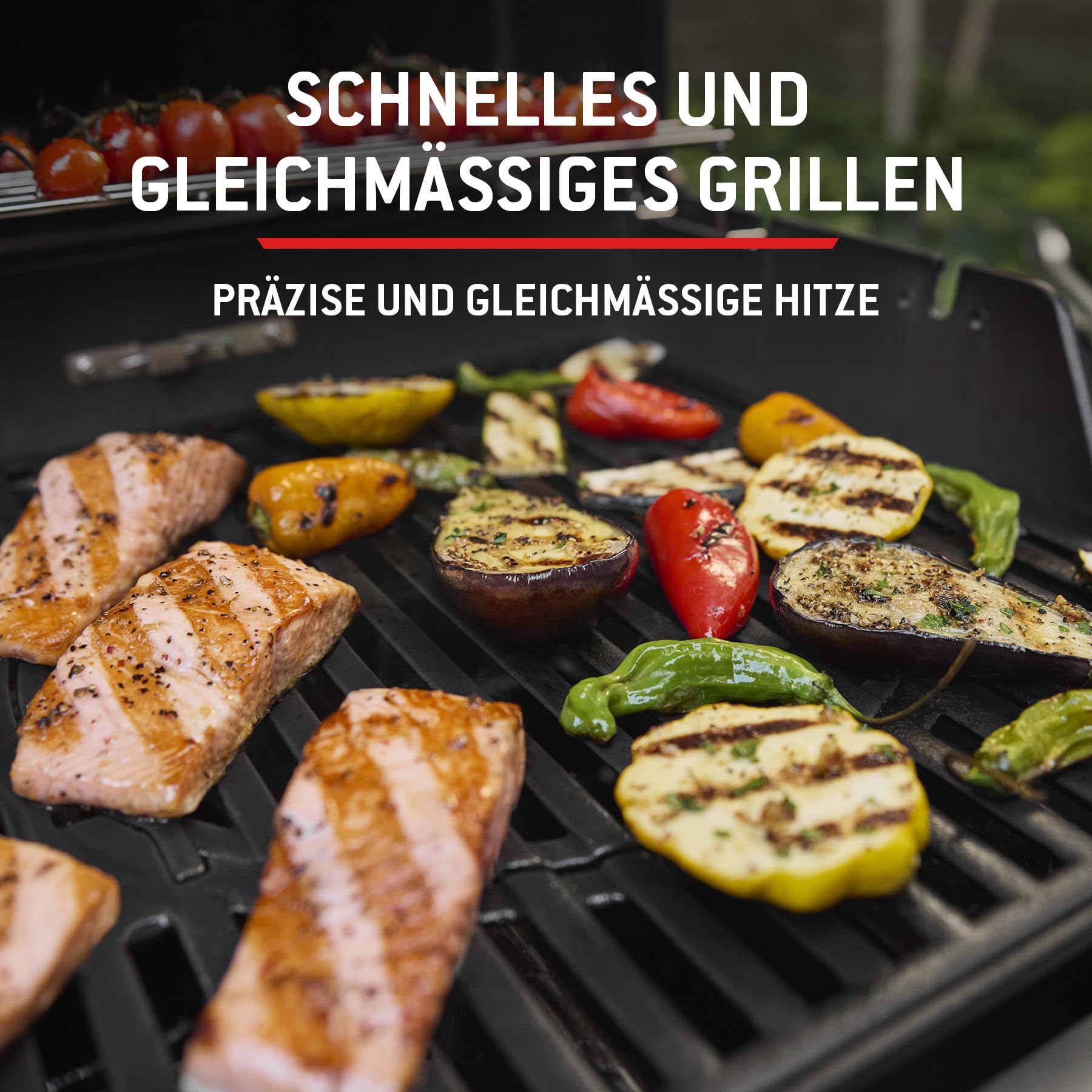 Weber Spirit E-310 Gasgrill