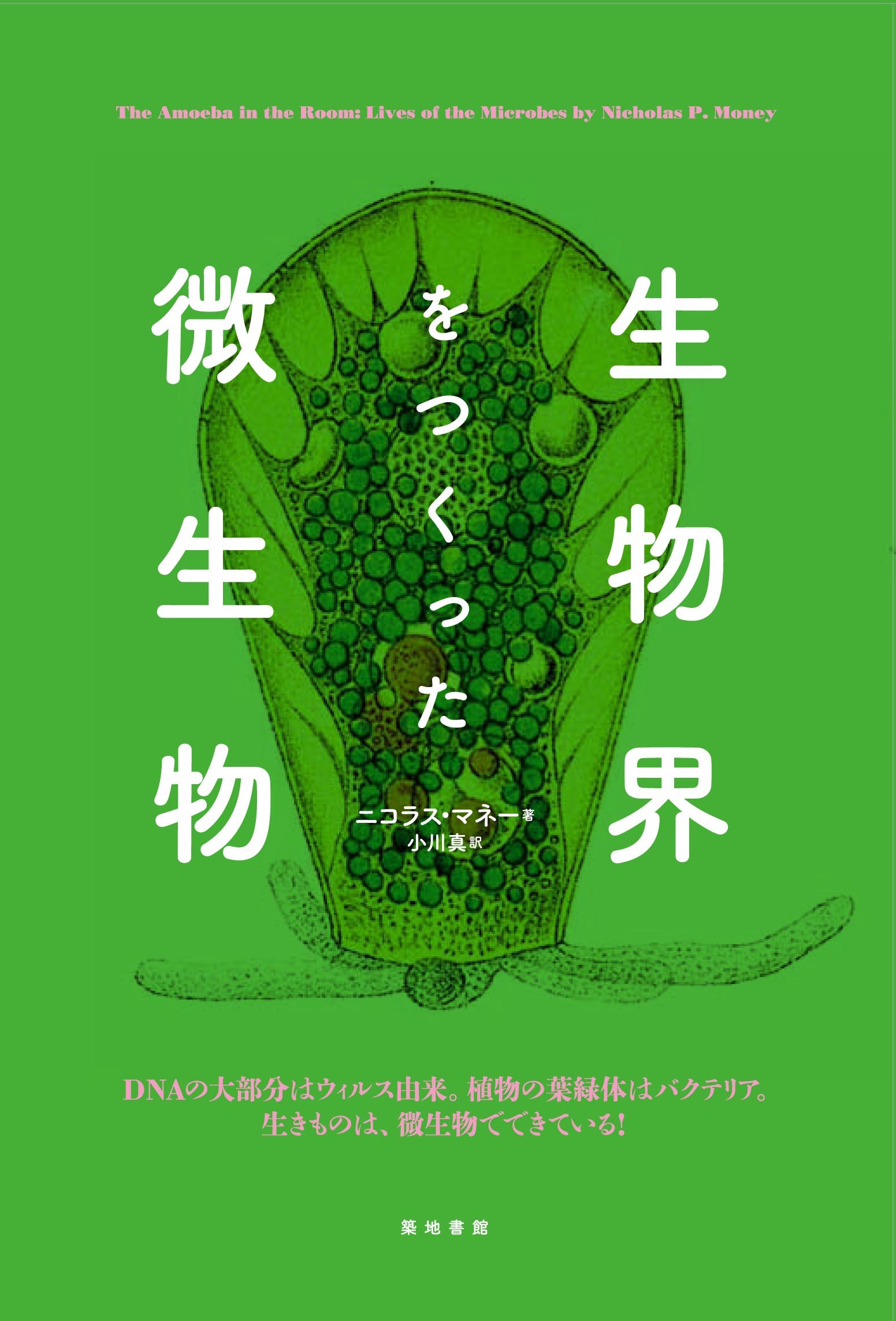 Microbiology（微生物学）～海外医学部を６年で卒業プロジェクト～ Japanese Middle School Level Test) Why We recycle plastics