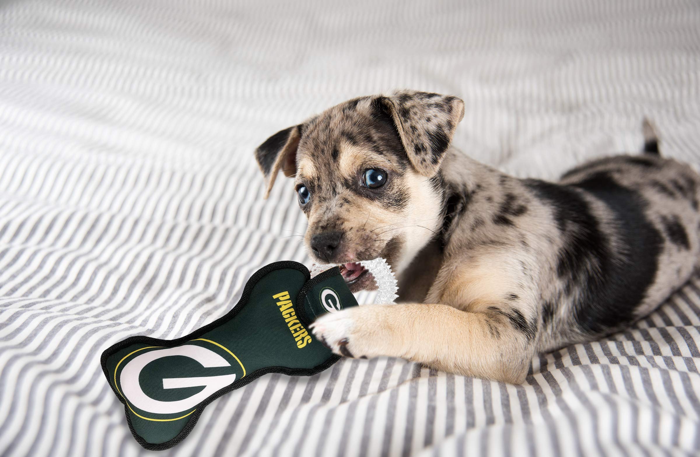 NFL Green BAY PACKERS DENTAL DOG ZABAWKA Z SQUEAKERem. Miękka zabawka PET dla zdrowej zabawy, ząbkowania i czyszczenia zębów i dziąseł zwierzęcia.