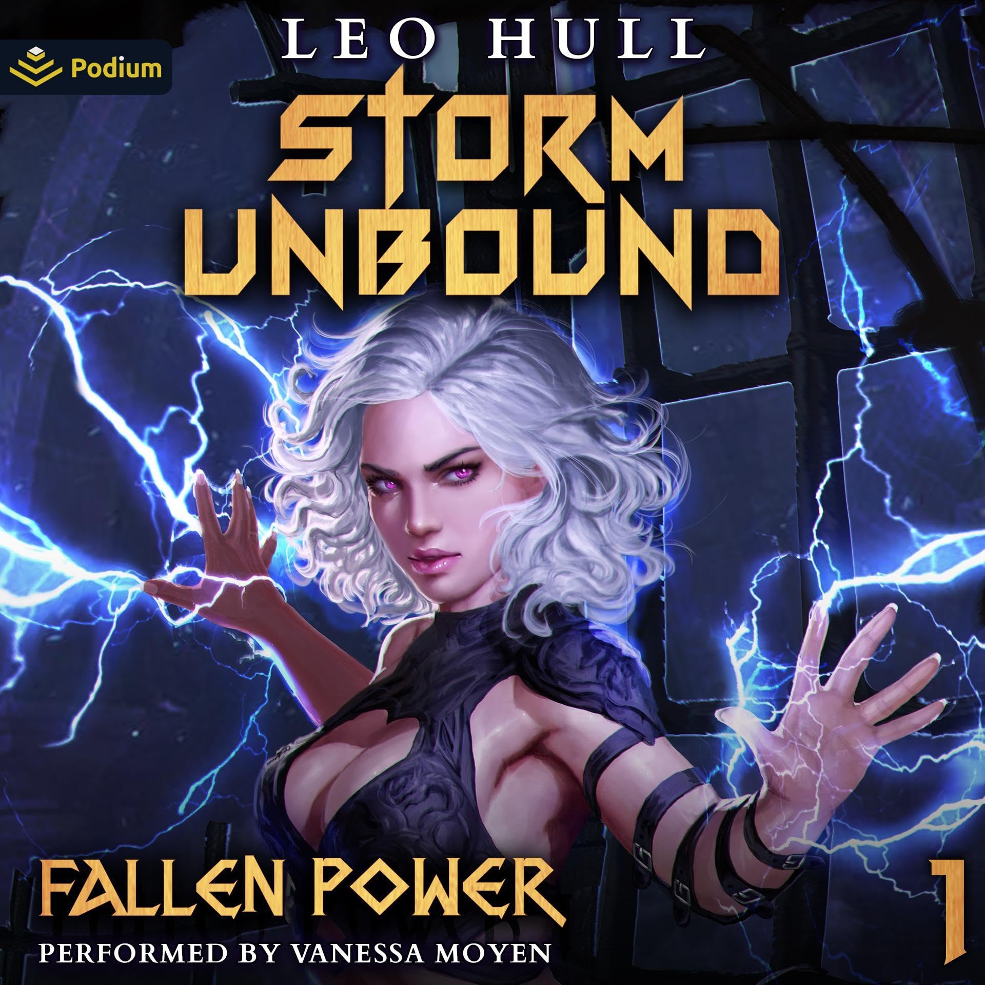 Cover art for Storm Unbound
