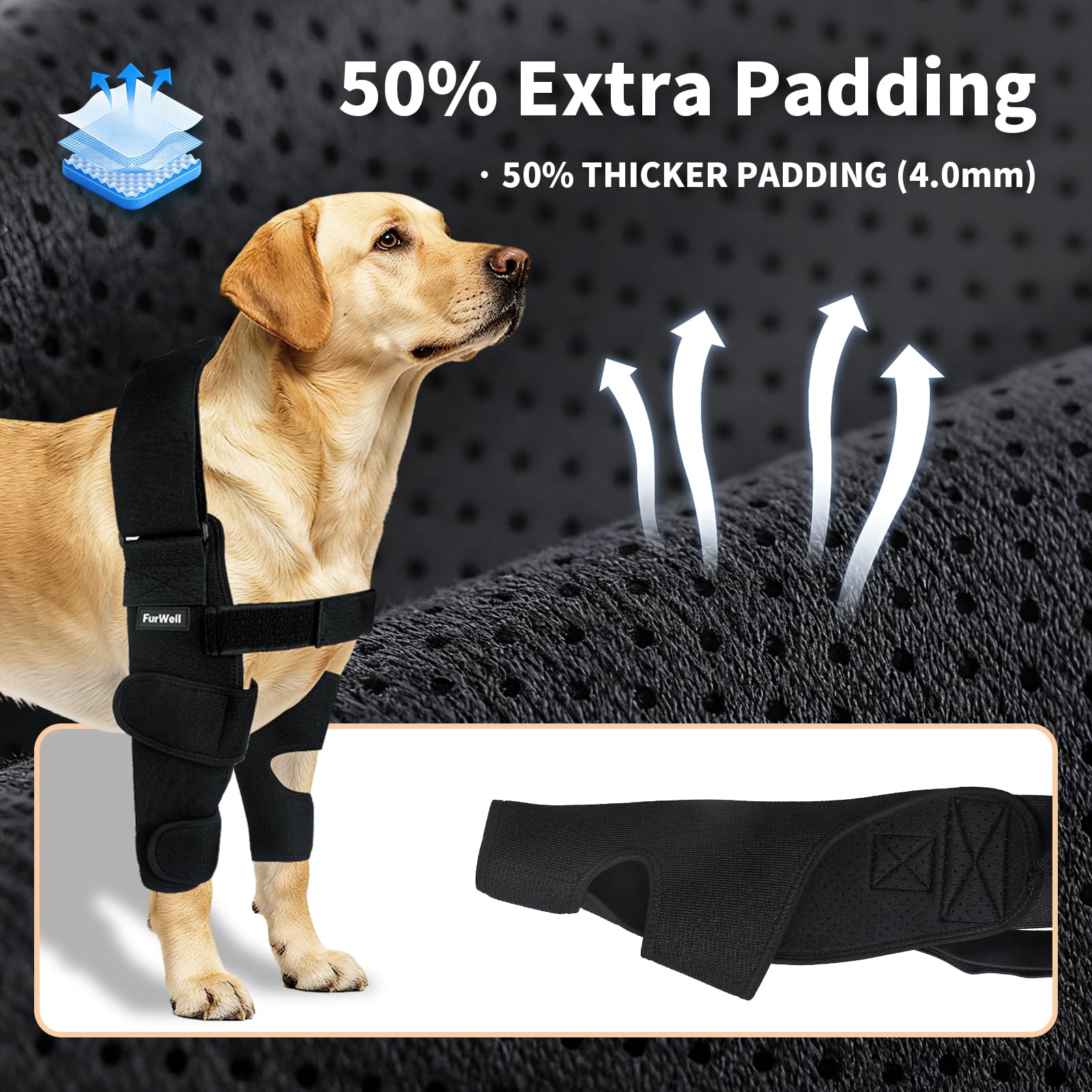 Codera para perro con correa de pecho desacoplada, transpirable, resistente a la abrasión, soporte de codo ajustable para higroma, displasia, artritis, callos e inestabilidad del hombro