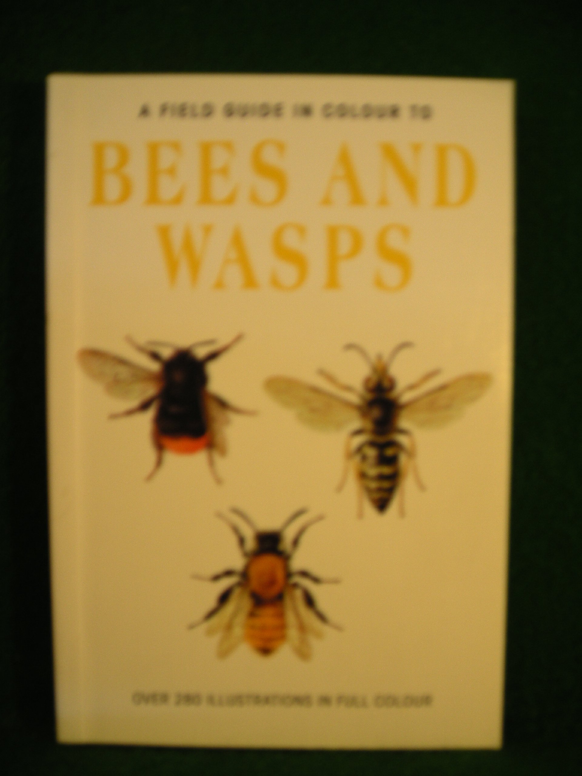 A Field Guide in Colour to Bees and Wasps (English and Czech Edition)