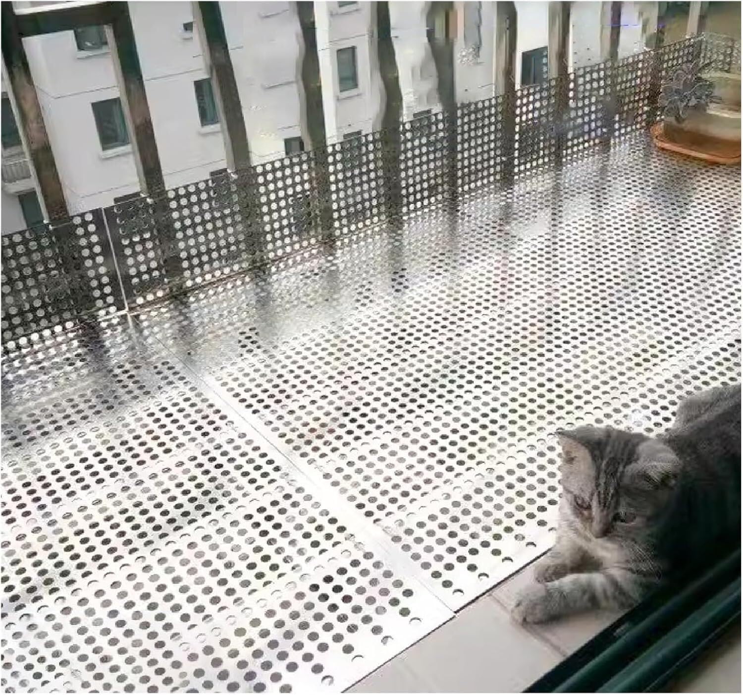 Plaque métallique perforée en inox de qualité supérieure pour brise-vue