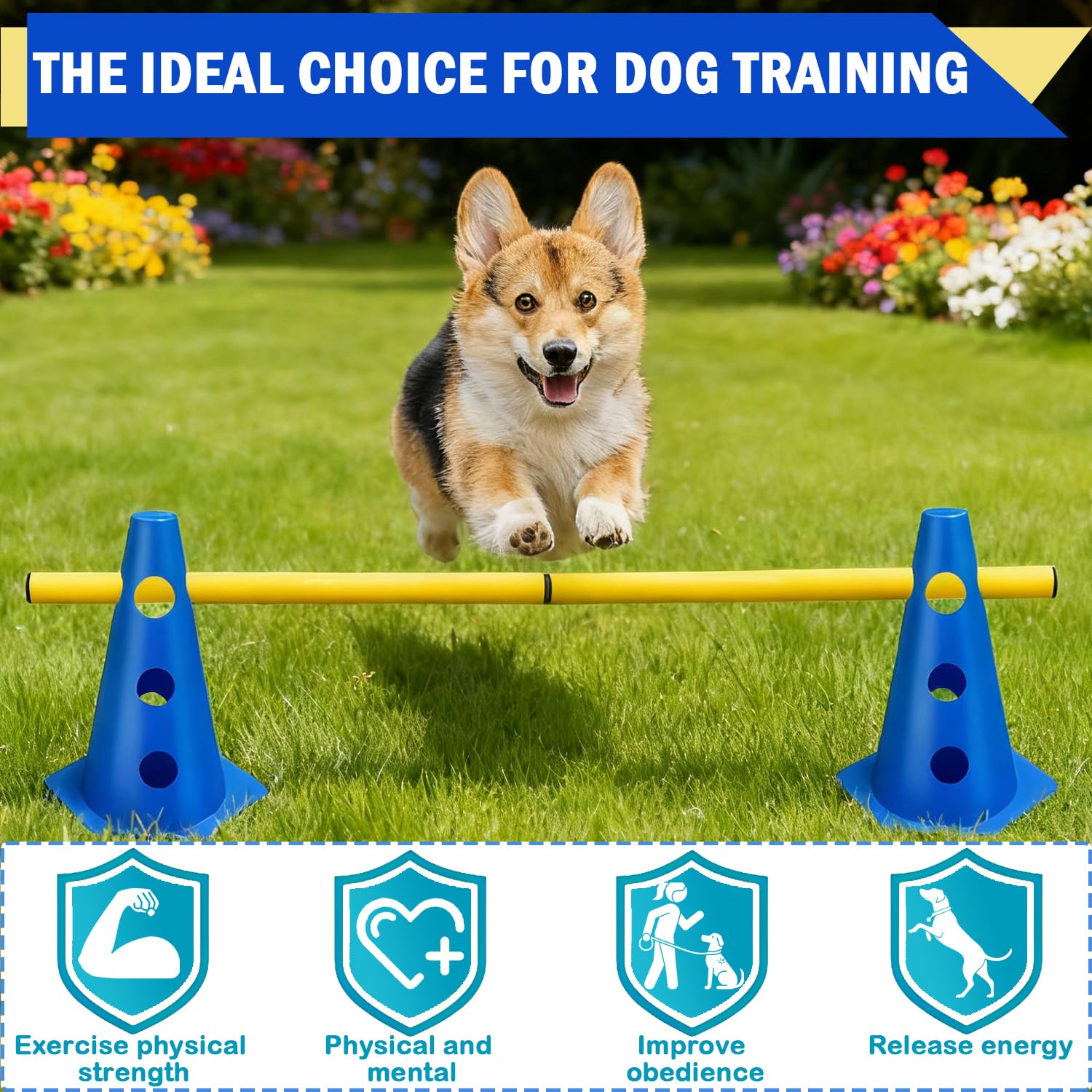 5er Sports Steckhürdenset Cavaletti Agility Set Hunde Hürden Steckhürdenset 10 Kegel 23cm + 5 Stangen 80cm Agility Koordinationstraining Set für Kinder Hunde Teamsport Fussball