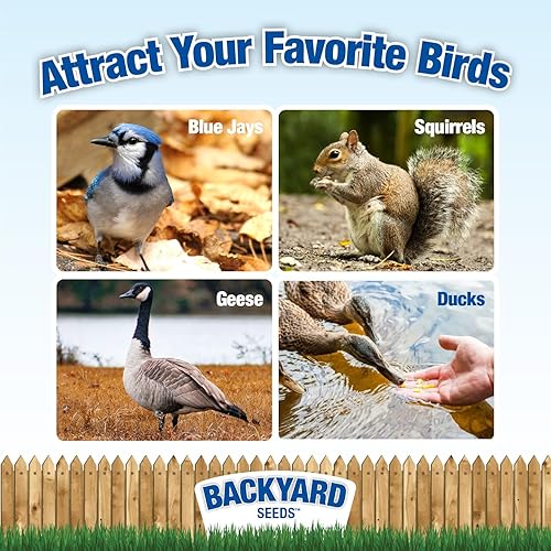Miniatura 2 de Semillas de patio trasero maíz entero para pájaros, ardillas y ciervos, 10 libras.