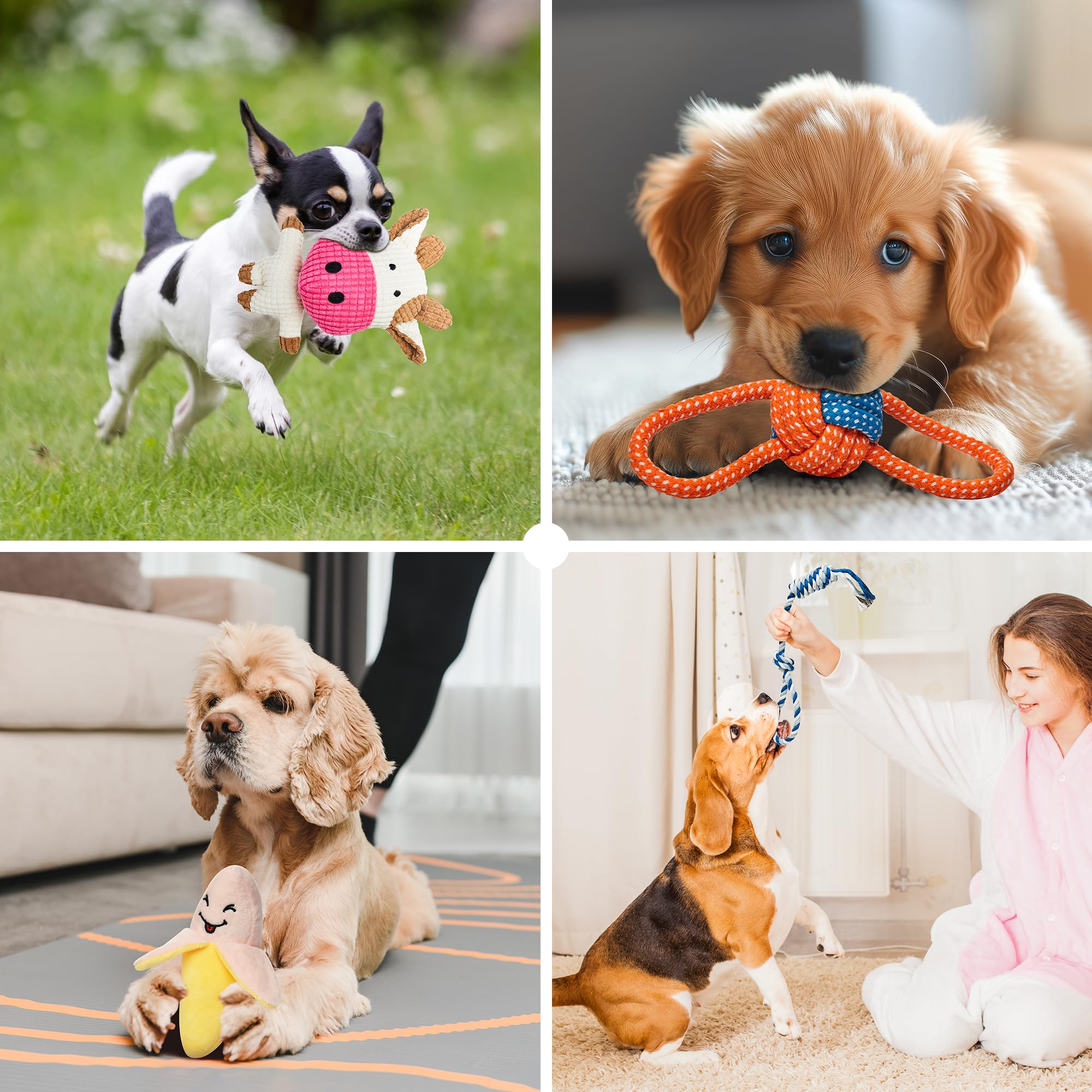 Toozey Hondenspeelgoed voor kleine honden, 8 stuks, puppyspeelgoed, intelligentie kauwspeelgoed en piepend duurzaam hondentouw, natuurlijk katoen en niet giftig, verlicht stress en verveling