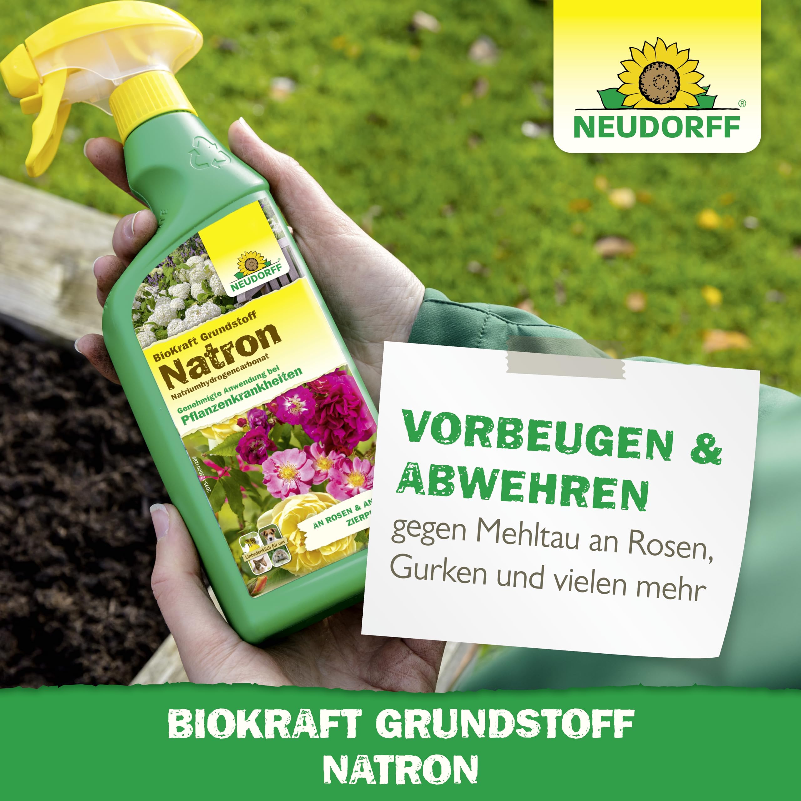 Neudorff BioKraft Grundstoff Natron – Anwendungsfertiges Spray gegen Pilzkrankheiten an Rosen und anderen Zierpflanzen, mit pflanzlichen Inhaltsstoffen, 500 ml