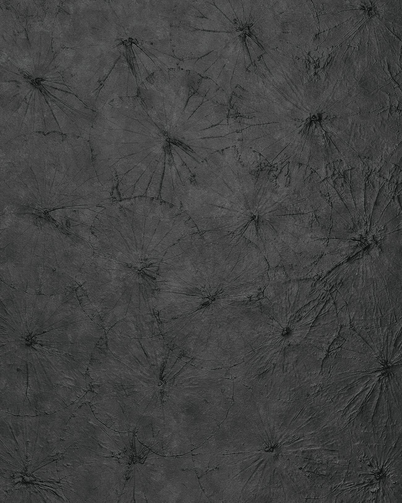 Wandpaneel selbstklebend Kunststoff Optik | 3D-Struktur 24963-SA LOTUS CLASSY Black - strukturierte Wandverkleidung seidenmatt anthrazit 2,6 m²