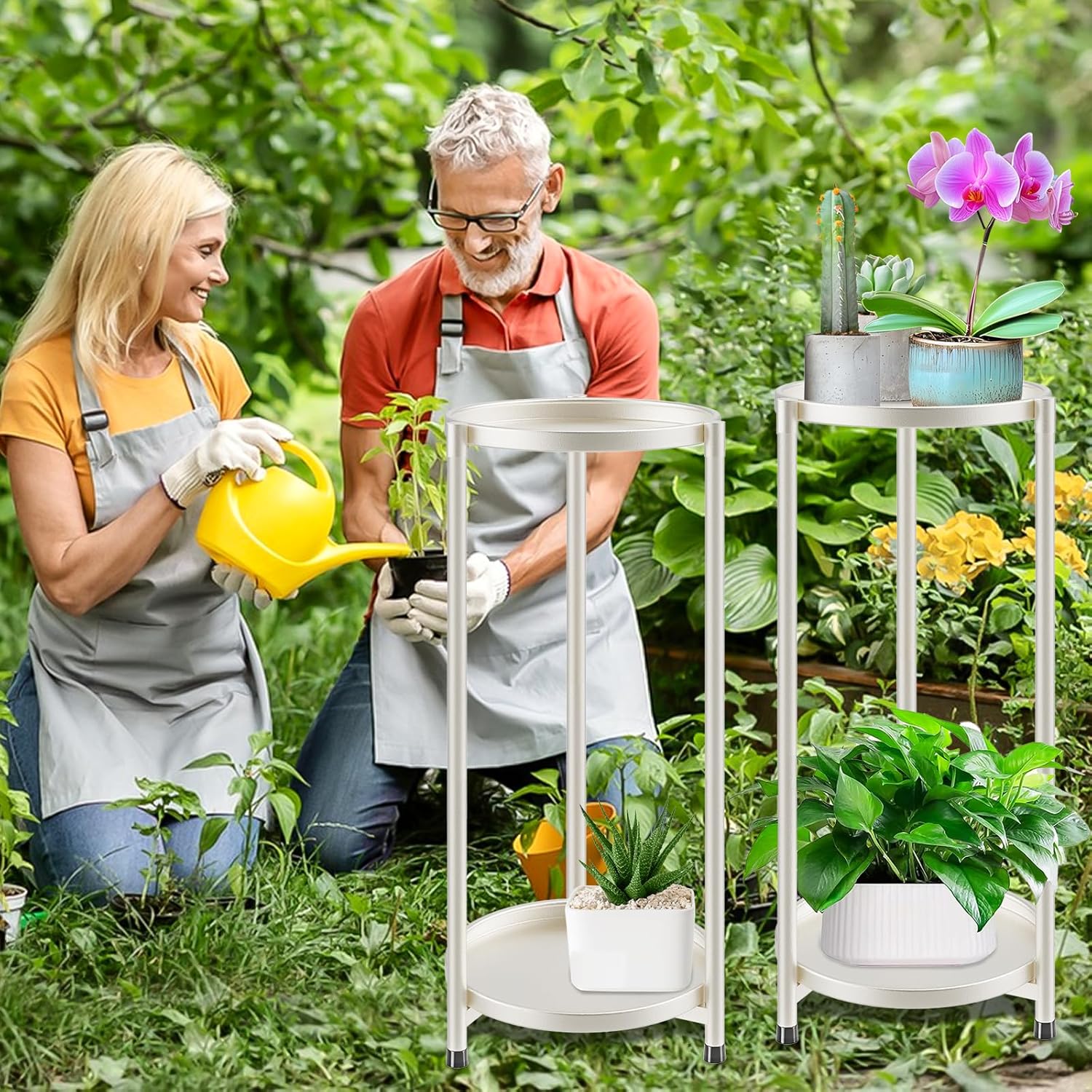 Növényállvány különböző növényekkel