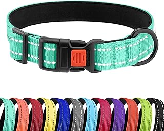 CollarDirect Reflektierendes Hundehalsband für kleinen, mittelgroßen, großen Hund, Welpen mit Schnellverschluss, Hündin, Rüde, 48 Sorten, Nylon Wasserfest product image