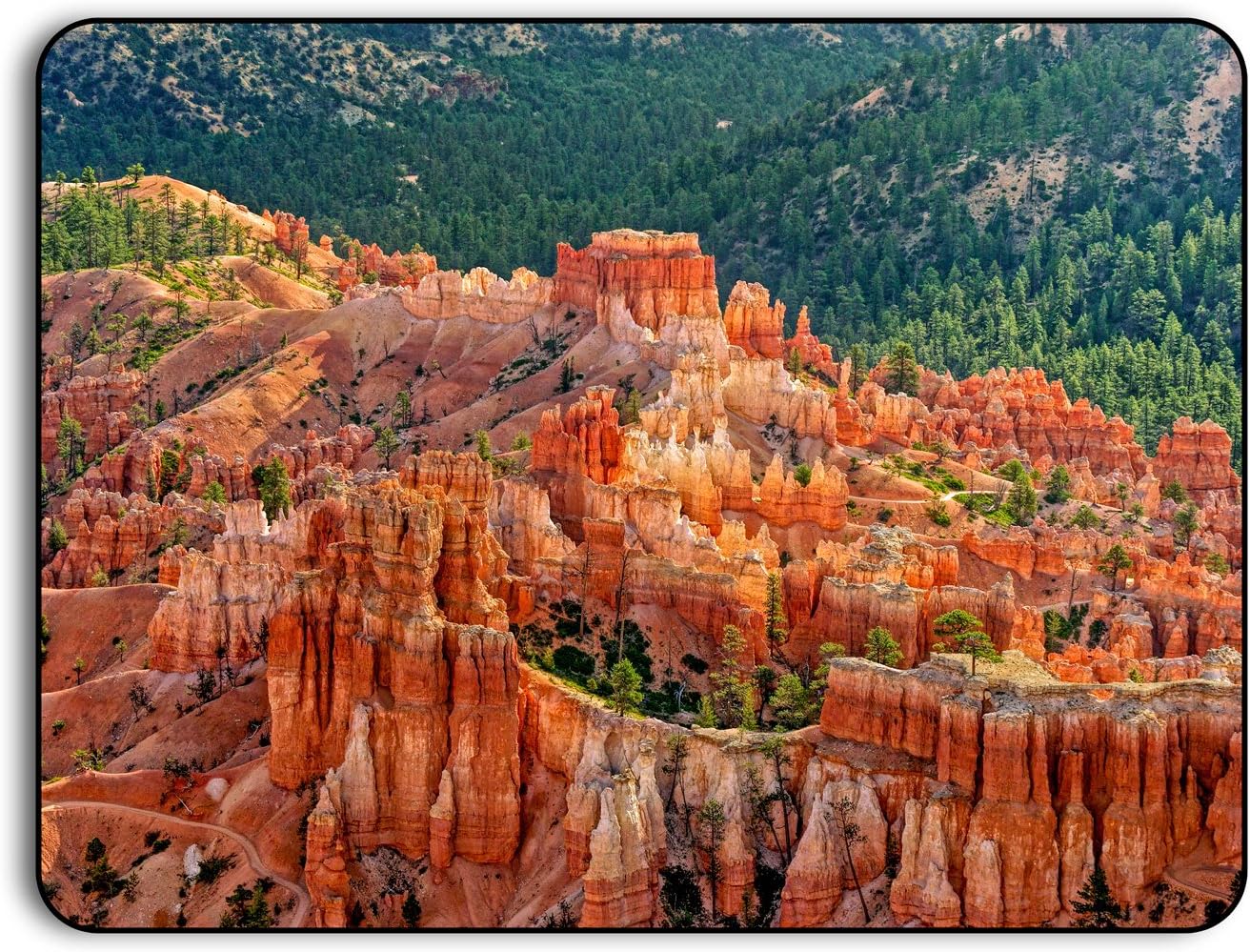 Hoodoos Bryce Canyon National Park, Utah, USA - Original Photography Aluminum Metal Art Print Gift with Bamboo Stand for Office Desk or Home Table Art Display