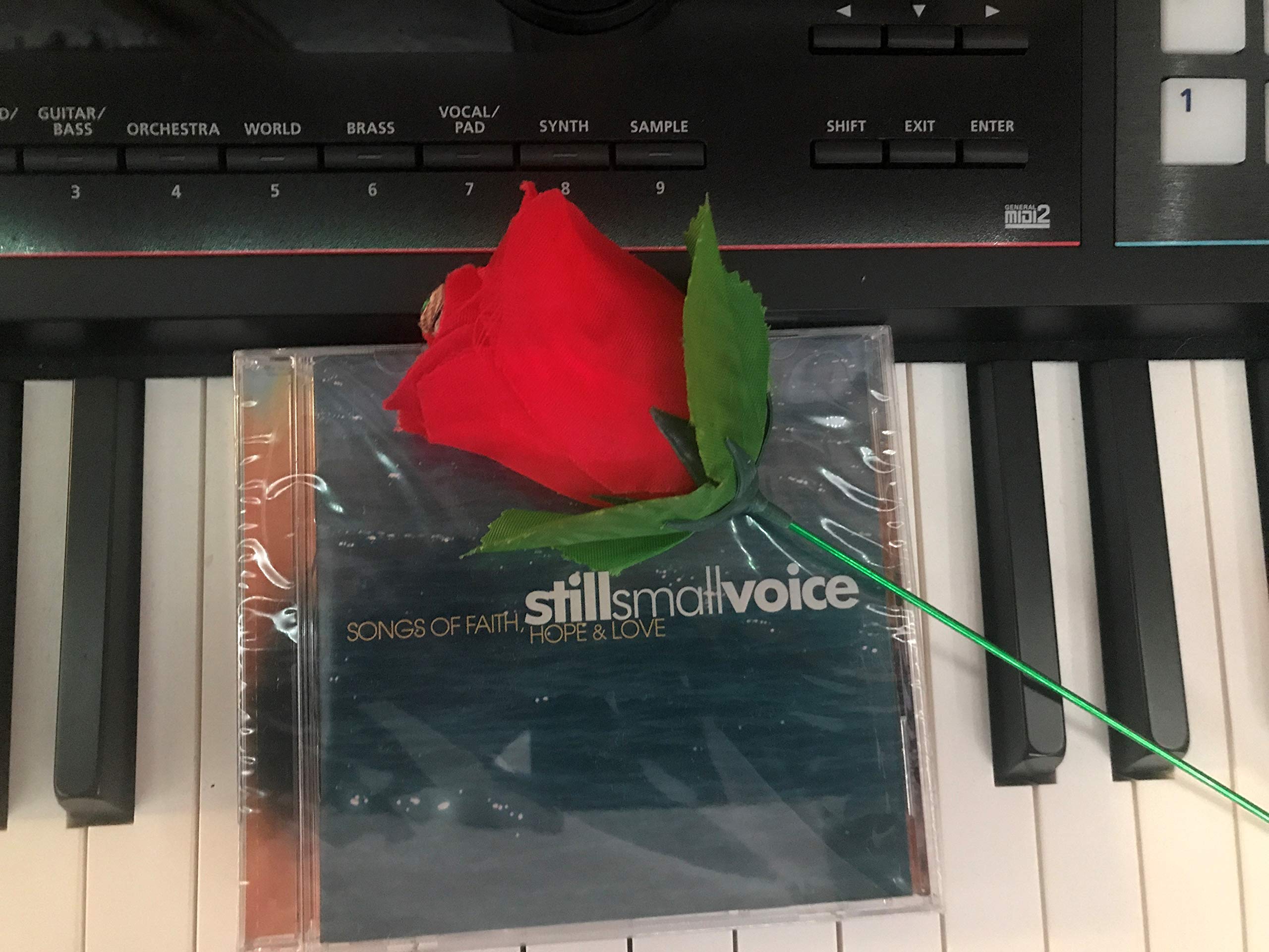 Still Small Voice [Audio CD] Julie Costella