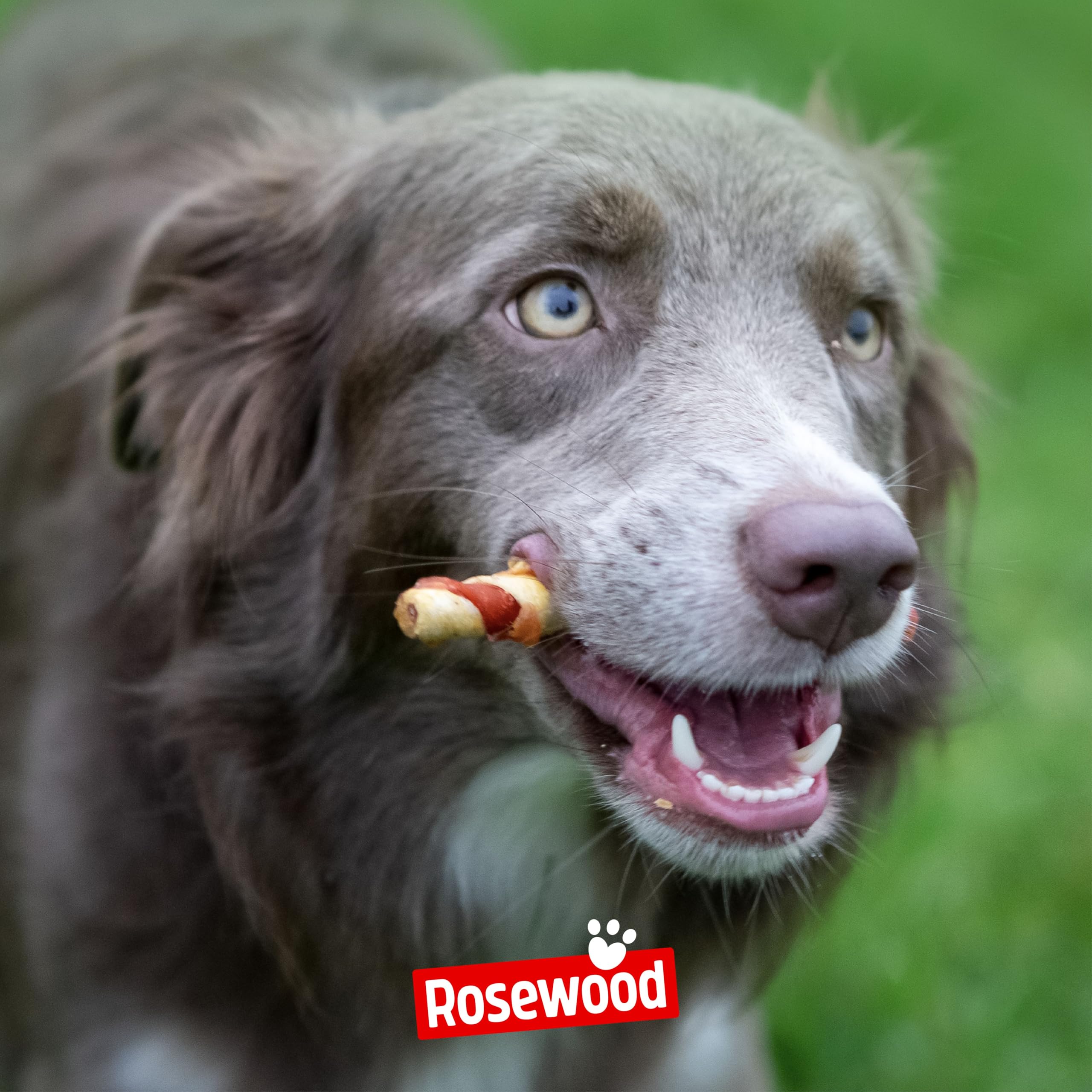 Rosewood Dierensnacks kopen? ✔️ Vergelijk de beste aanbiedingen