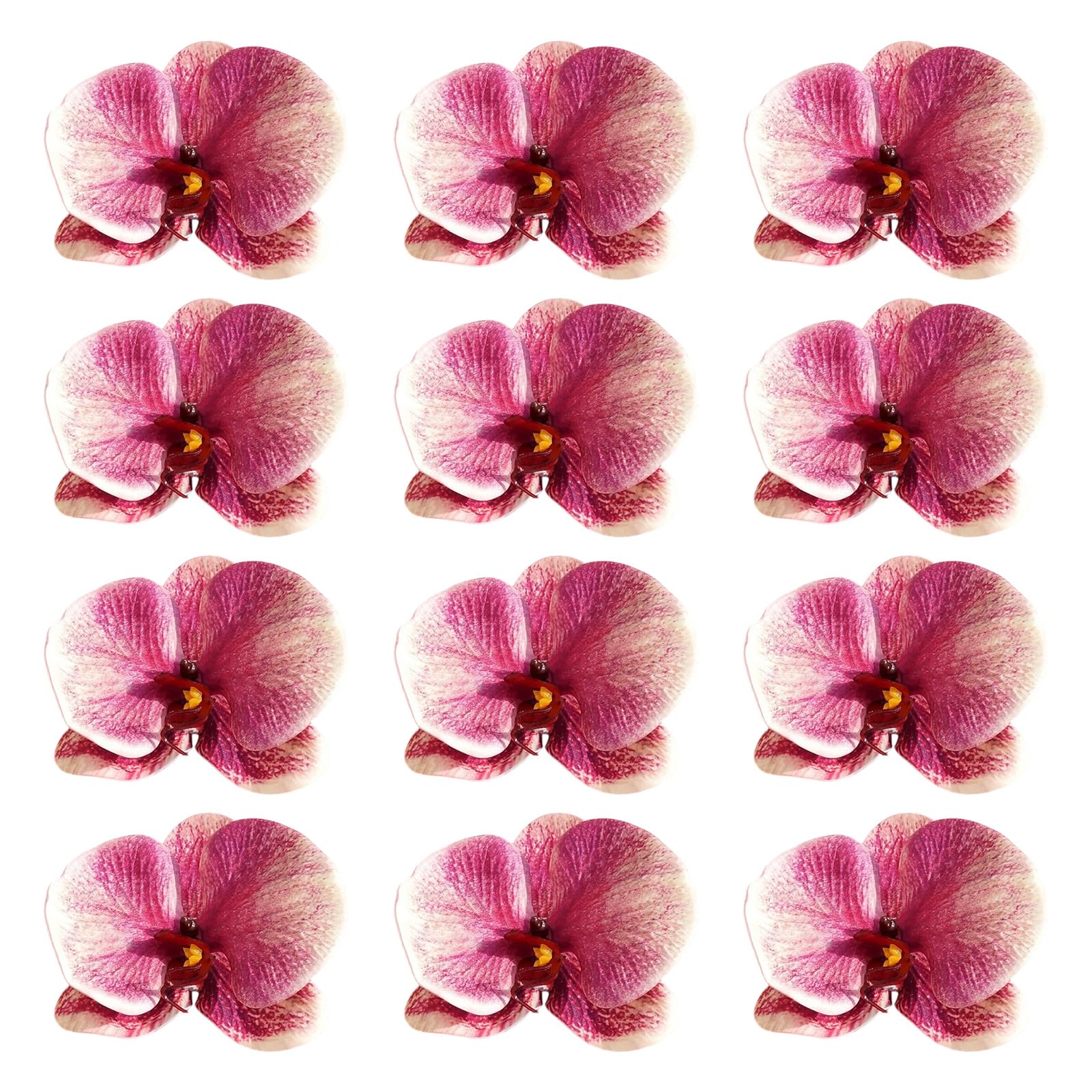 APGLSXY Beautiful White Orchids Flower Head Phalaenopsis Decoration for Wedding Centerpieces and Event Styling Party Blossomy Arrangements Silk Flower