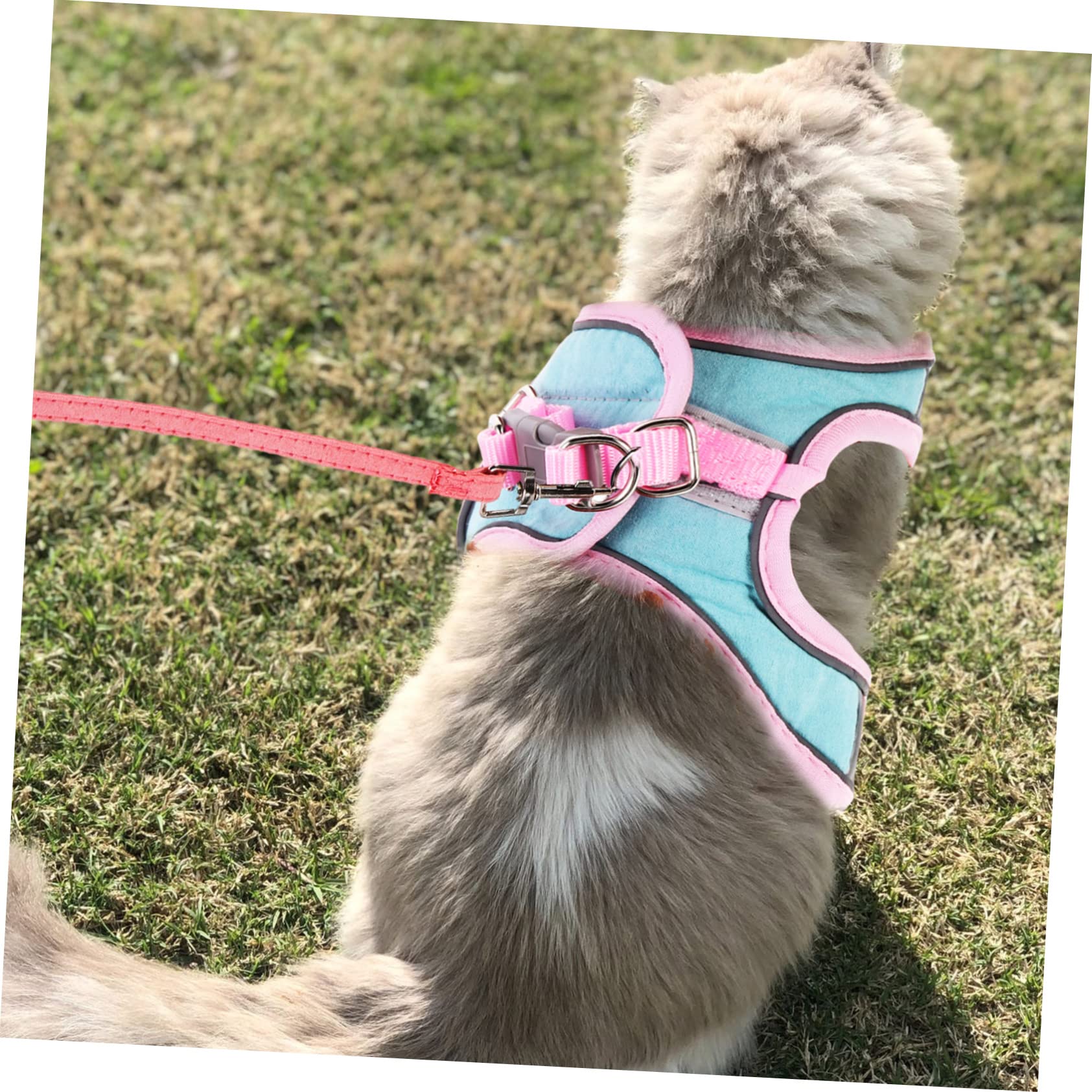 Yardwe 4sätze Pet Escape Harness Mit Leine Verstellbare Und Reflektierende Katzenweste Für Sicheres Spazierengehen Geeignet Für Kleine Katzen Und Welpen Teiliges