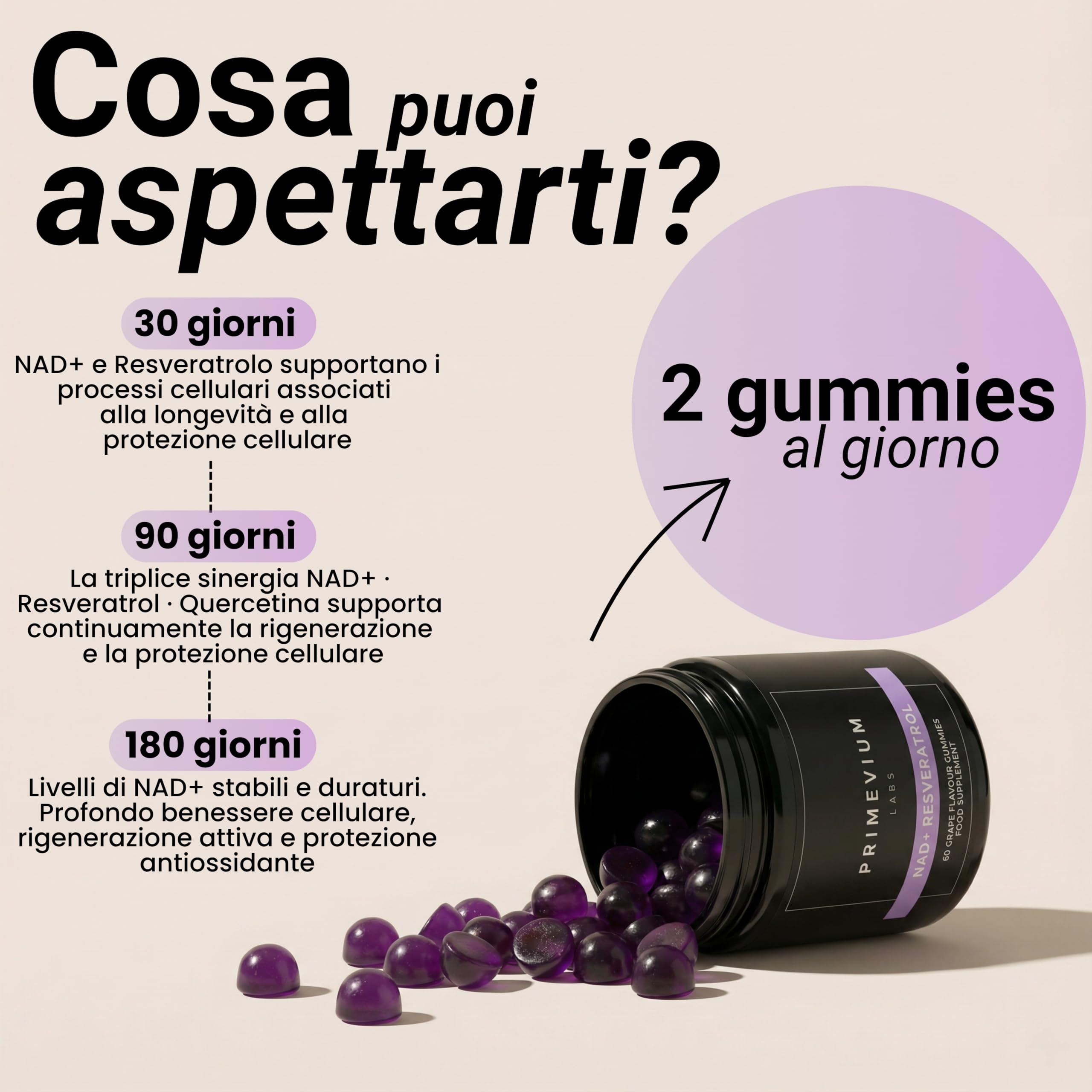 NAD+ con Resveratrolo e Quercetina - 60 Gummies Vegane Senza Zucchero - 850 mg per dose - Formula ad Alta Potenza - Integratore per Energia, Vitalità e Longevità - Primevium Labs