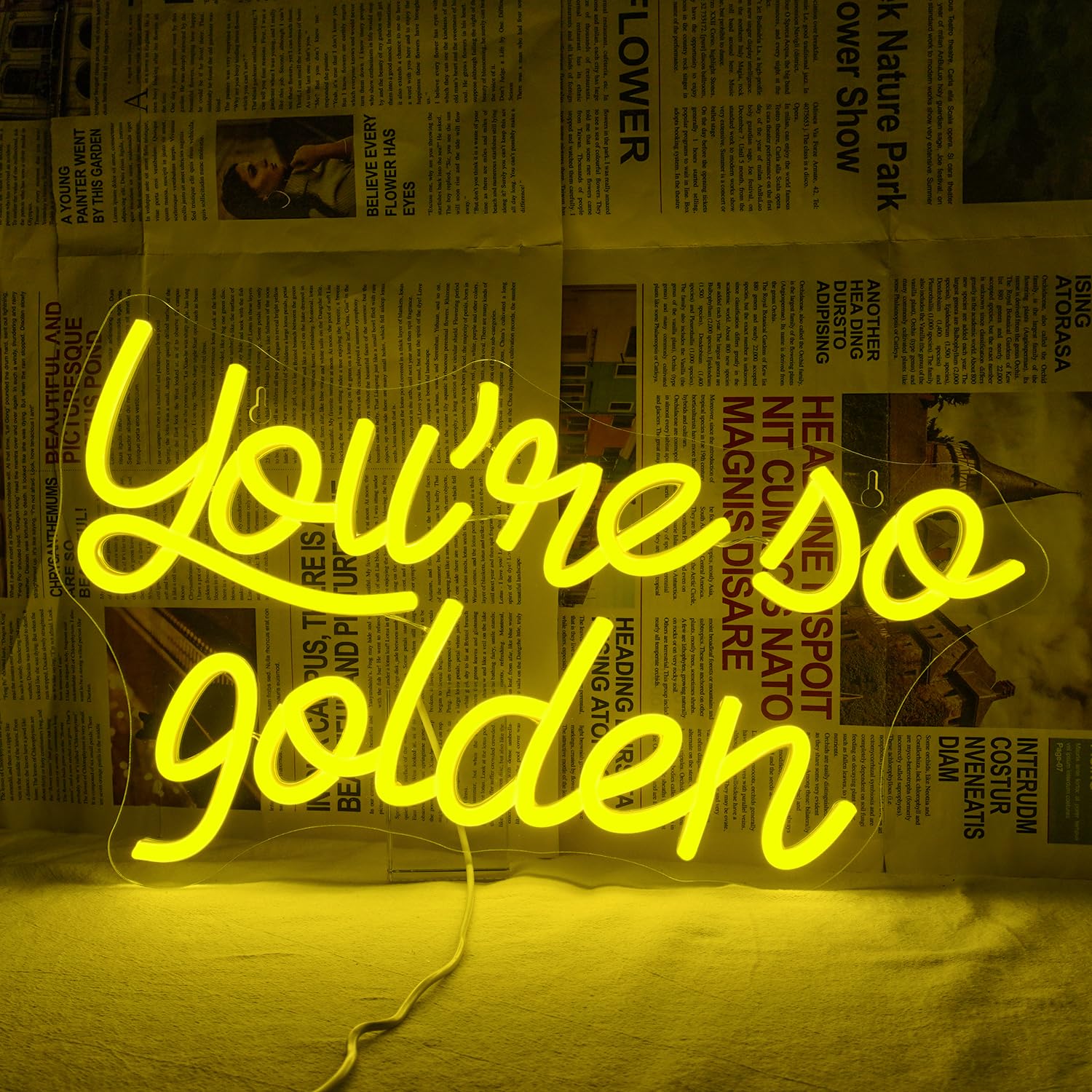 You're So Golden Neon Sign - Neon Signs for Wall Decor Golden Birthday Party Decorations Letters Led Signs Neon Light USB Light Up Sign For Birthday Party,Wedding,Mother's Day,Bedroom,Living Room