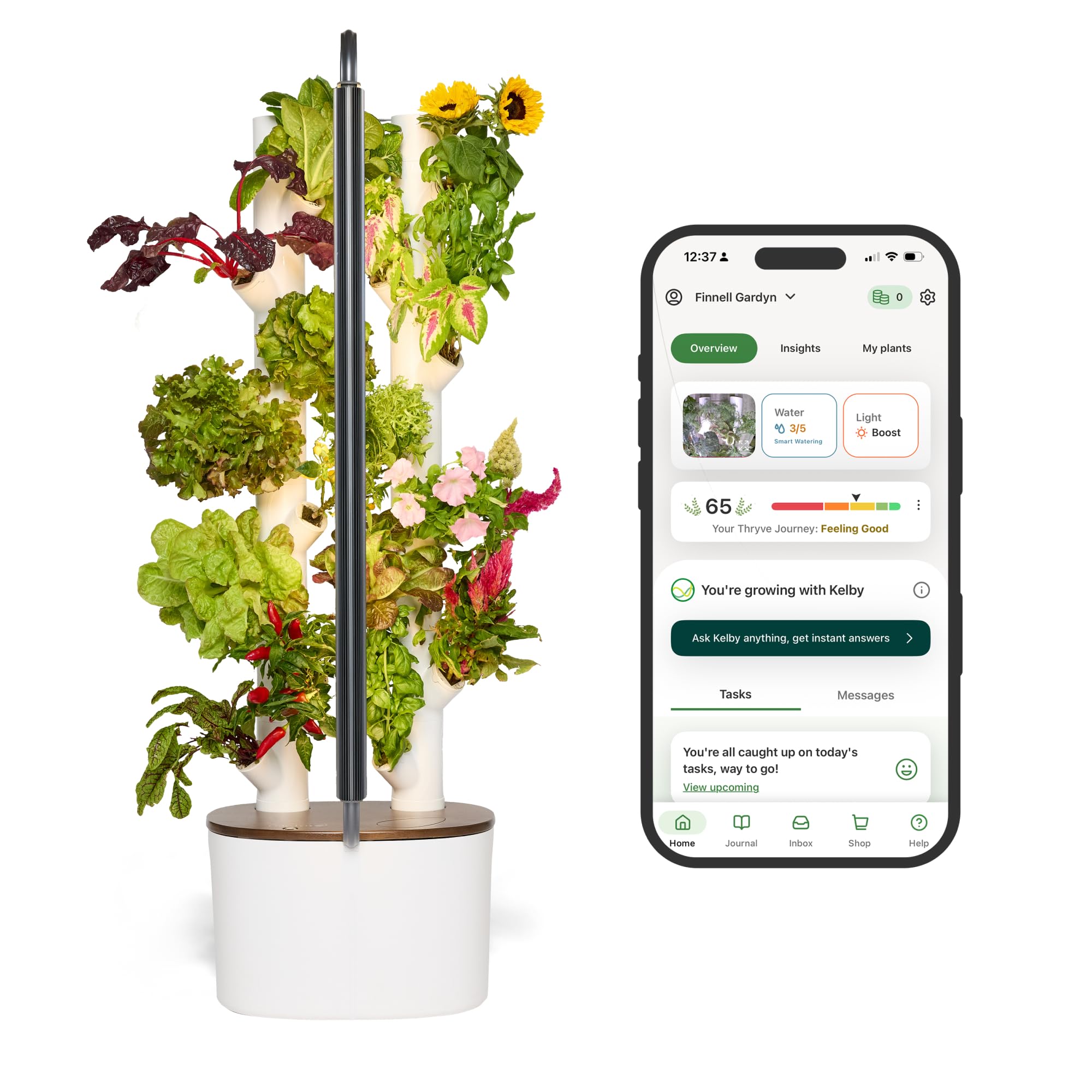 Gardyn Studio Hydroponics Growing System Kit & Vertical Indoor Garden Planter | Smart Herb Garden | Includes 16 Non-GMO Indoor Plants, Herbs, Vegetables & LED Grow Light for Your Home Gardening System