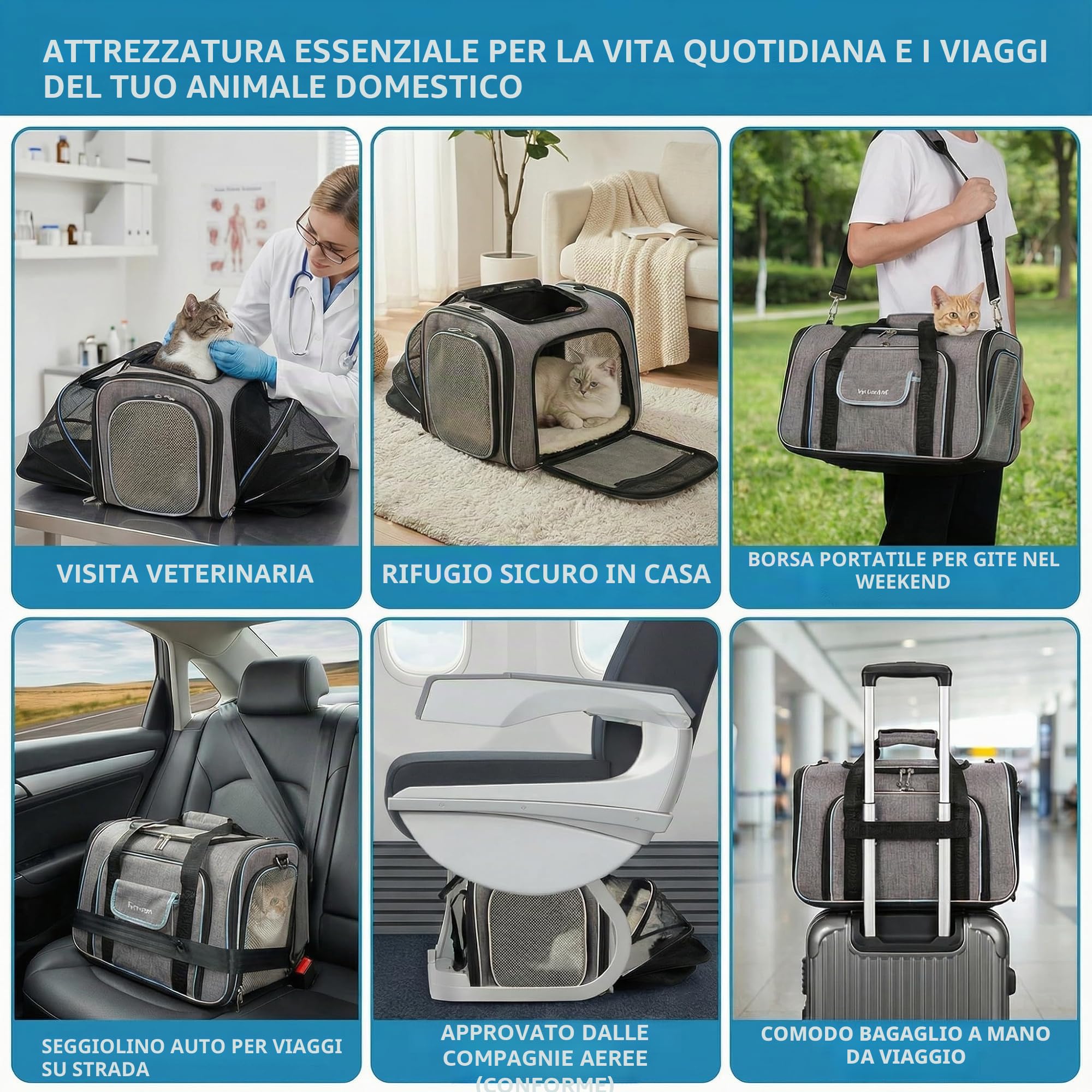 Borsa da Trasporto per Gatti - Trasportino Rigido Omologato IATA per Gatti a 4 Lati - Borsa da Viaggio per Gatti Espandibile per Viaggi in Aereo