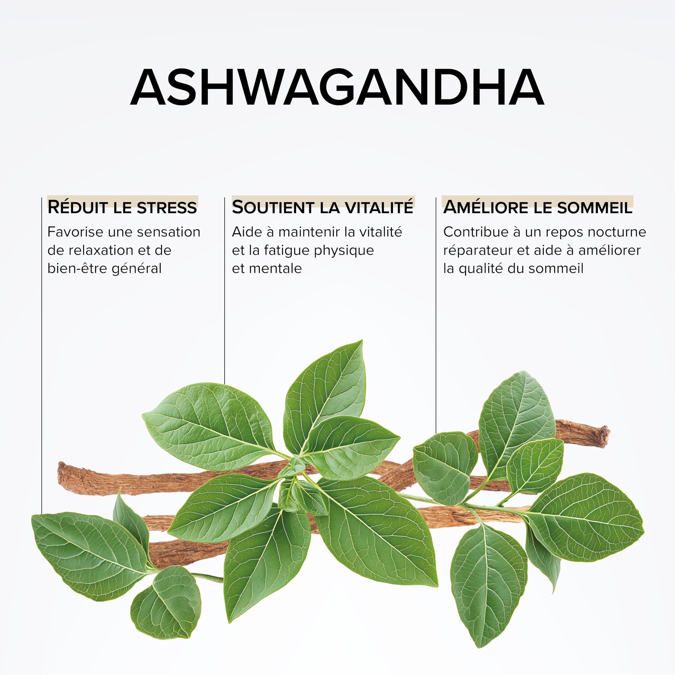 Ashwagandha 1400mg - Régulation Cortisol - Extra Fort : 7% Withanolides - Anti Stress & Sommeil - Ashwagandha Pure - 100 Gélules Végétales - Vegan - Beyond Elements