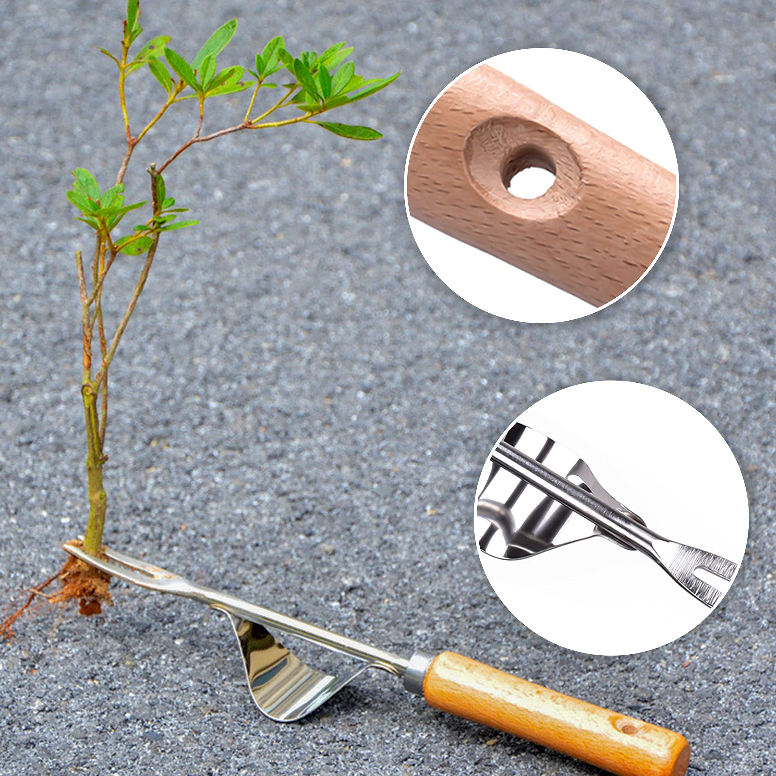 Désherbeur Manuel En Acier Inoxydable Avec Poignée Bois - Extracteur De Mauvaises Herbes En Forme De Y, Longueur 31 Cm - 5
