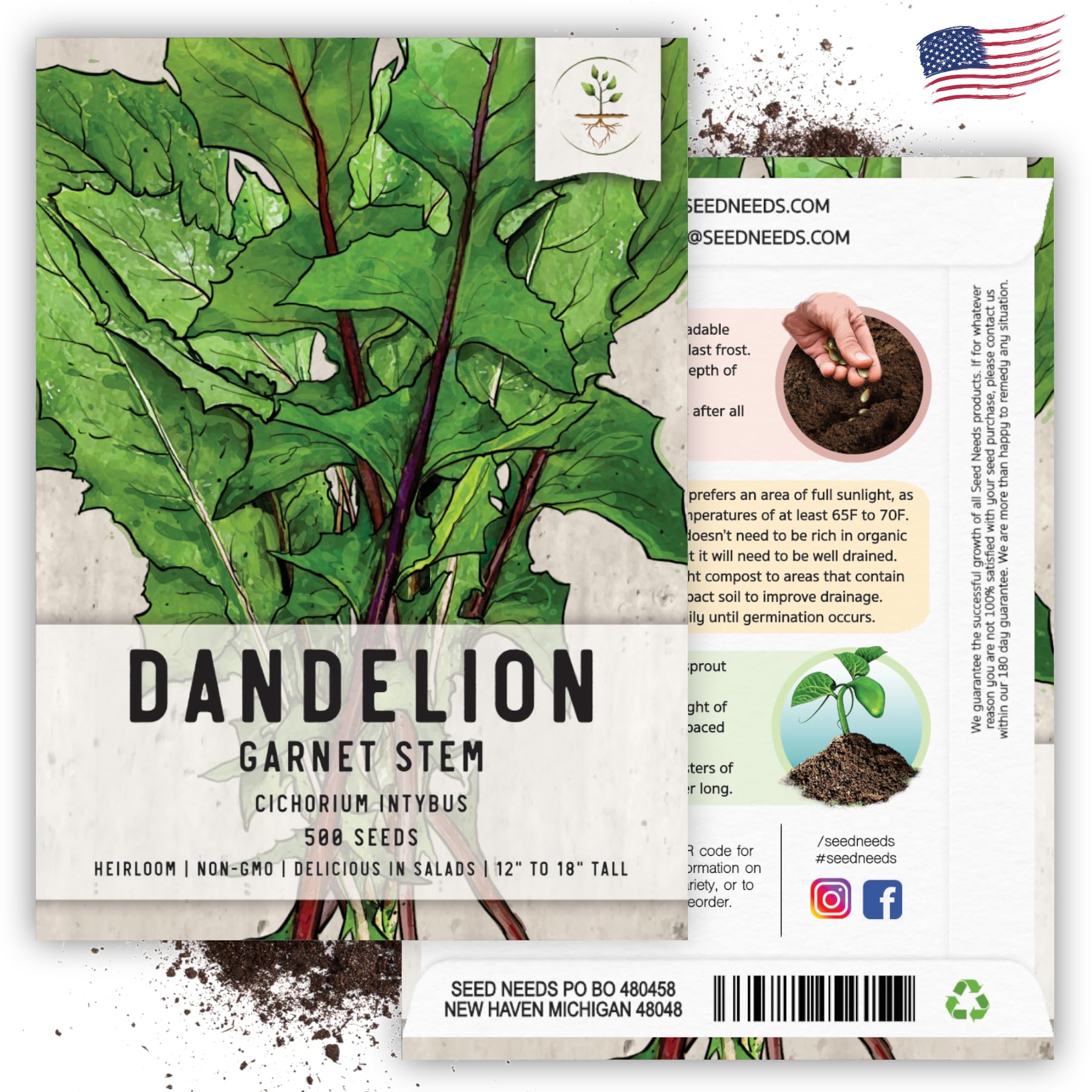 Semillas de diente de león de tallo de granate para plantar, sin OMG, hierbas tradicionales y no tratadas, cultiva tu propio alimento para tortugas, conejos y dragones barbudos (paquete de 6