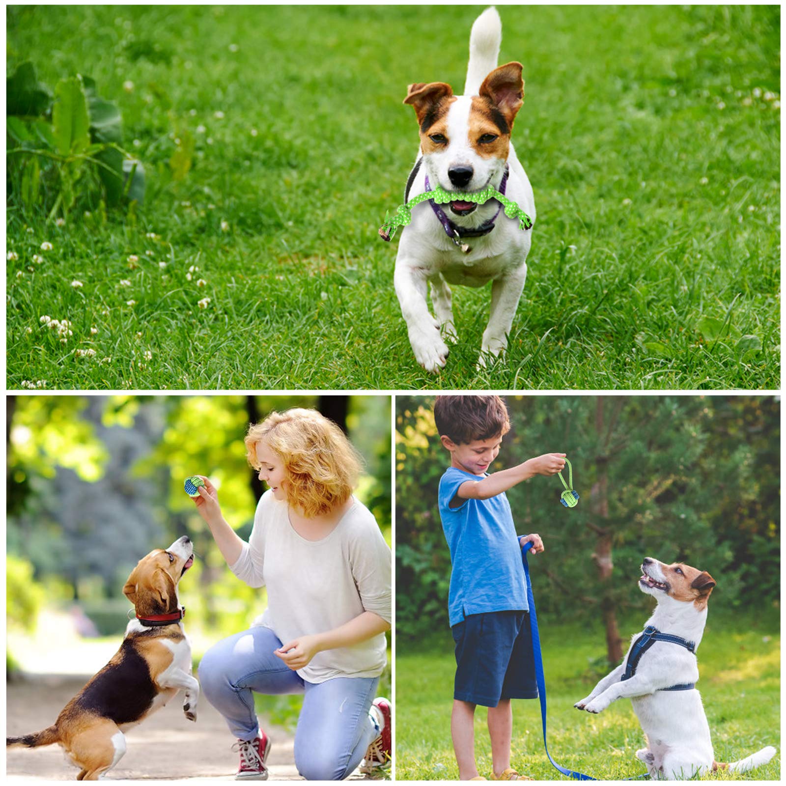 NA Hundespielzeug-Set, mehrfarbig, Welpenzahn, langlebig, bissfest