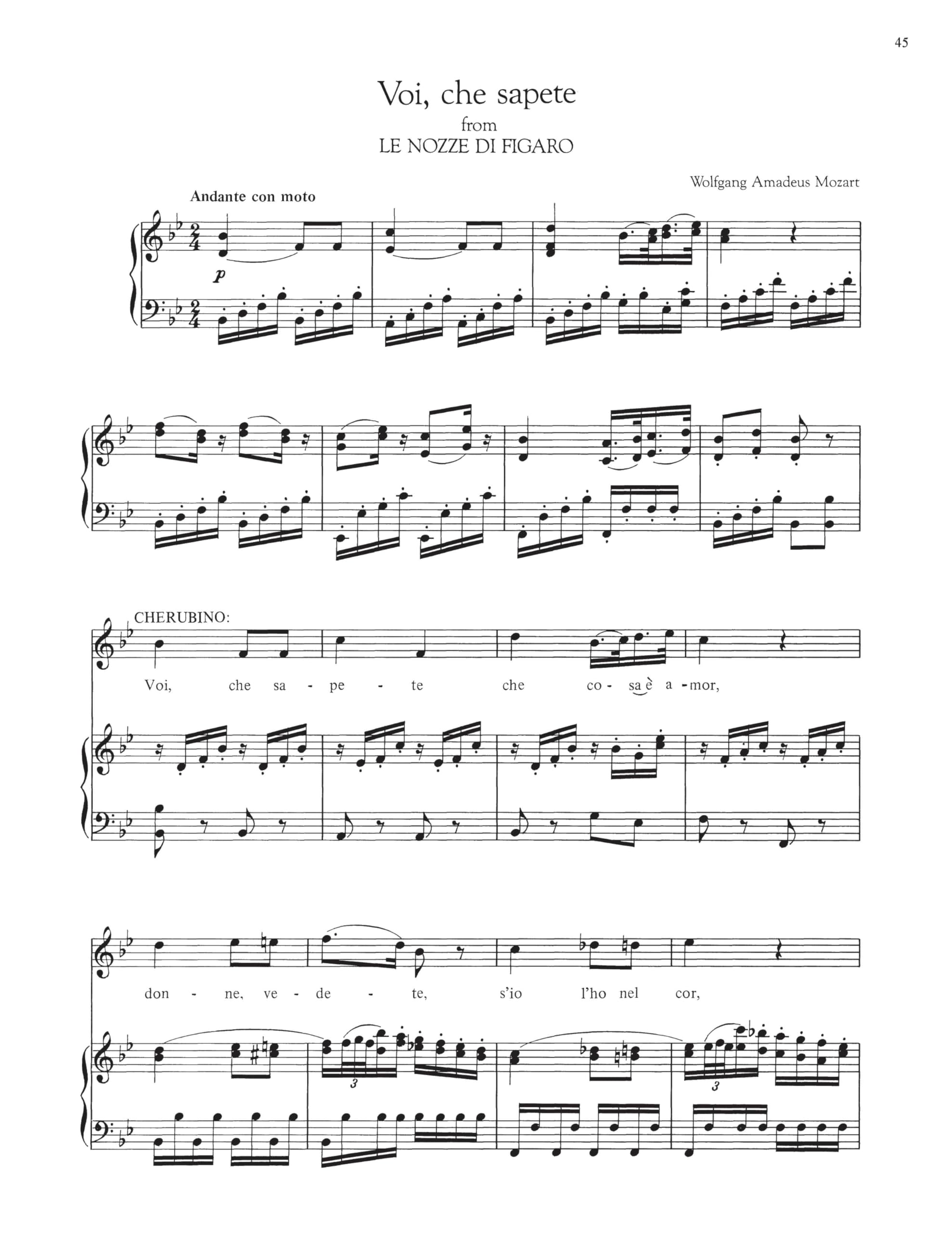 G. Schirmer Opera Anthology - Arias For Mezzo-Soprano | Klassische Opern-Arien Sammlung für Mezzo-Sopran und Klavier | Vorsing-, Konzert- & Studienrepertoire für fortgeschrittene Sängerinnen
