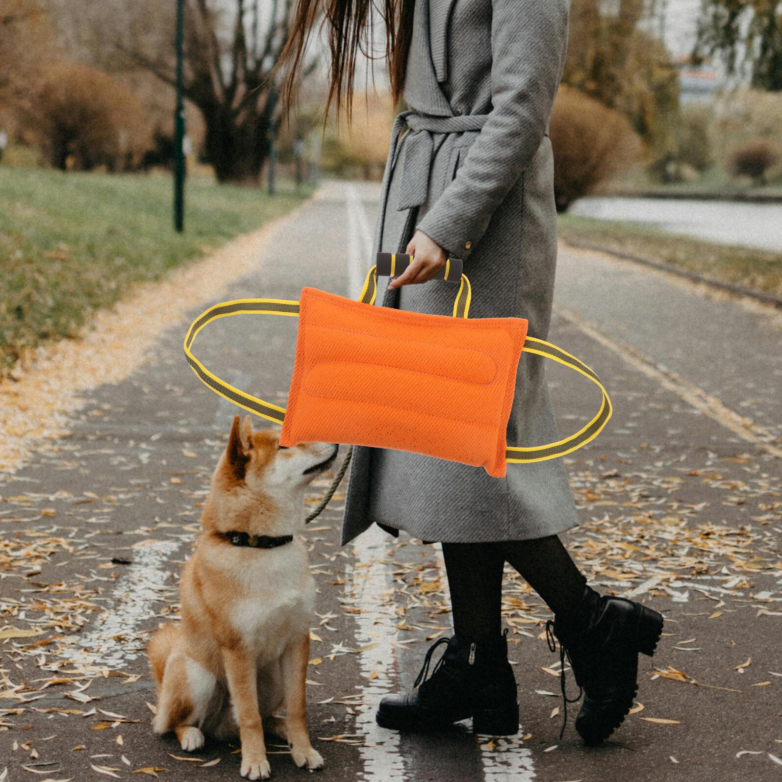TOYANDONA Cuscino da morso per cani con manici robusti, giocattolo antimorso, per razze medie e grandi, per un efficace allenamento del cane e un gioco paradenti