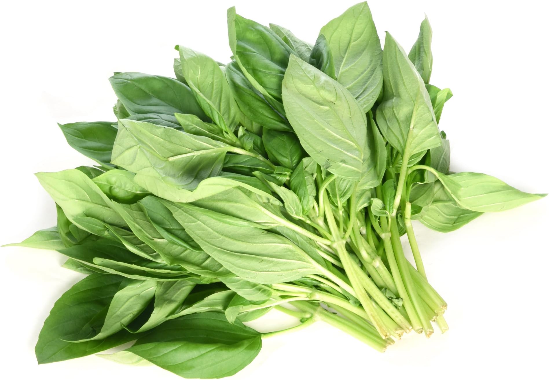 Langmead Herbs Basil 100g