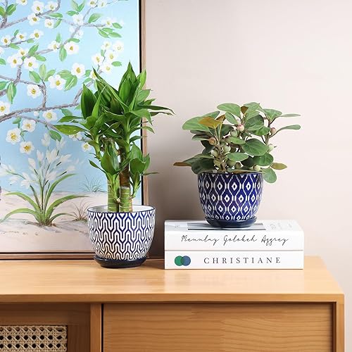 Miniatura 6 de Selamica Macetas de cerámica de 4.6 pulgadas para plantas de interior, macetas para suculentas con orificio de drenaje y platillo, macetas para