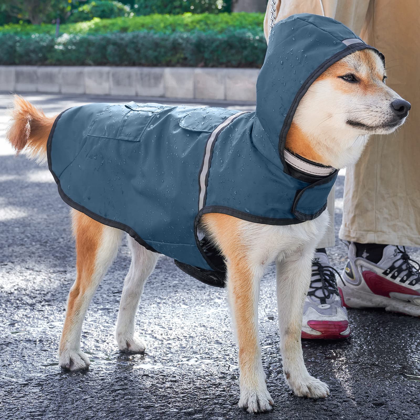 Abrigo Impermeable Para Perros Y Gatos Pequeños, Con Capucha, Ajustable, De PVC, Transparente Y