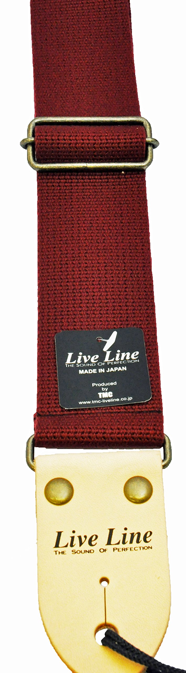 Amazon | LIVE LINE ライブ ライン AC素材レギュラータイプ