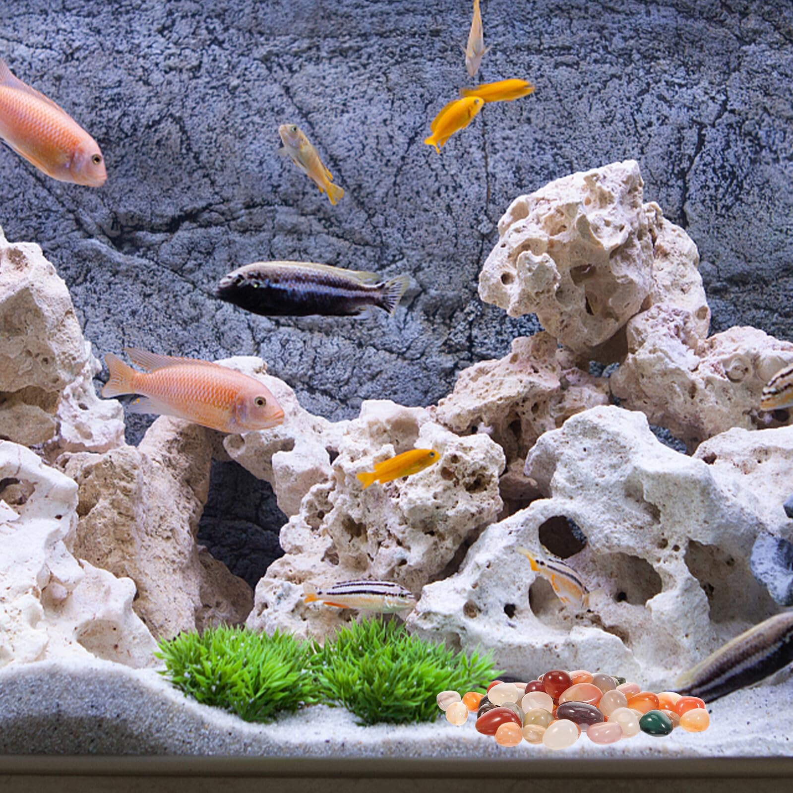 Piedras para Acuario y Guijarros Ornamentales para Macetas y Jardines, Piedra Natural Bordes Suaves y Resistencia al Desgaste, Adecuado para Uso Exterior