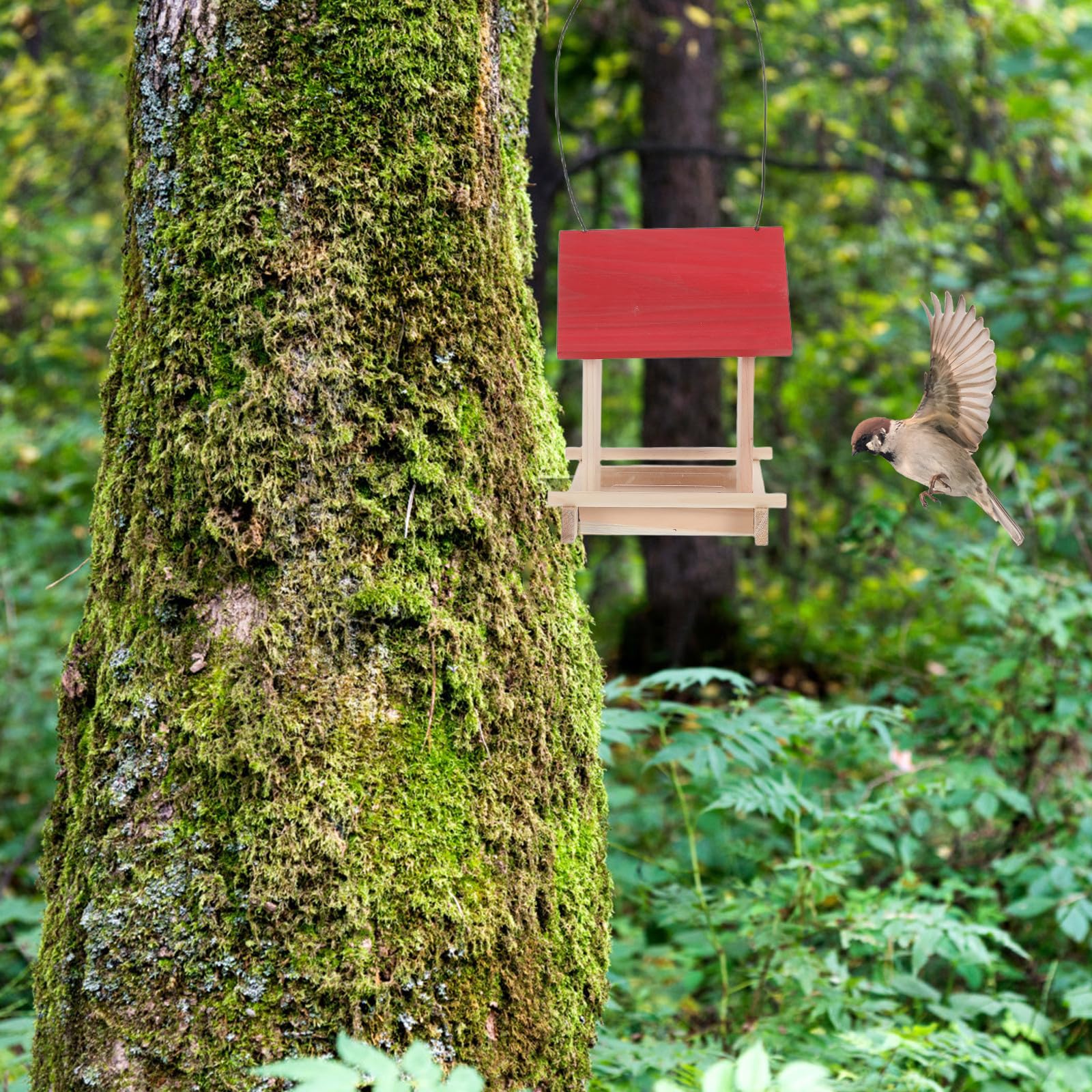 Mangeoire et Fenêtre D'observation à Suspendre en Bois Toit Résistant aux Intempéries Oiseaux Extérieure pour Chardonnerets et Oiseaux Sauvages Patio