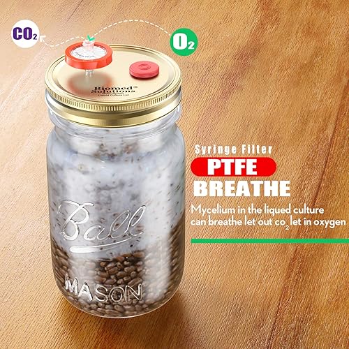 Miniatura 6 de 6 tapas de cultivo líquido de boca ancha, tapa de tarro de cultivo de grano dividido con filtro de jeringa de PTFE de 0.22 um y puertos de inyección