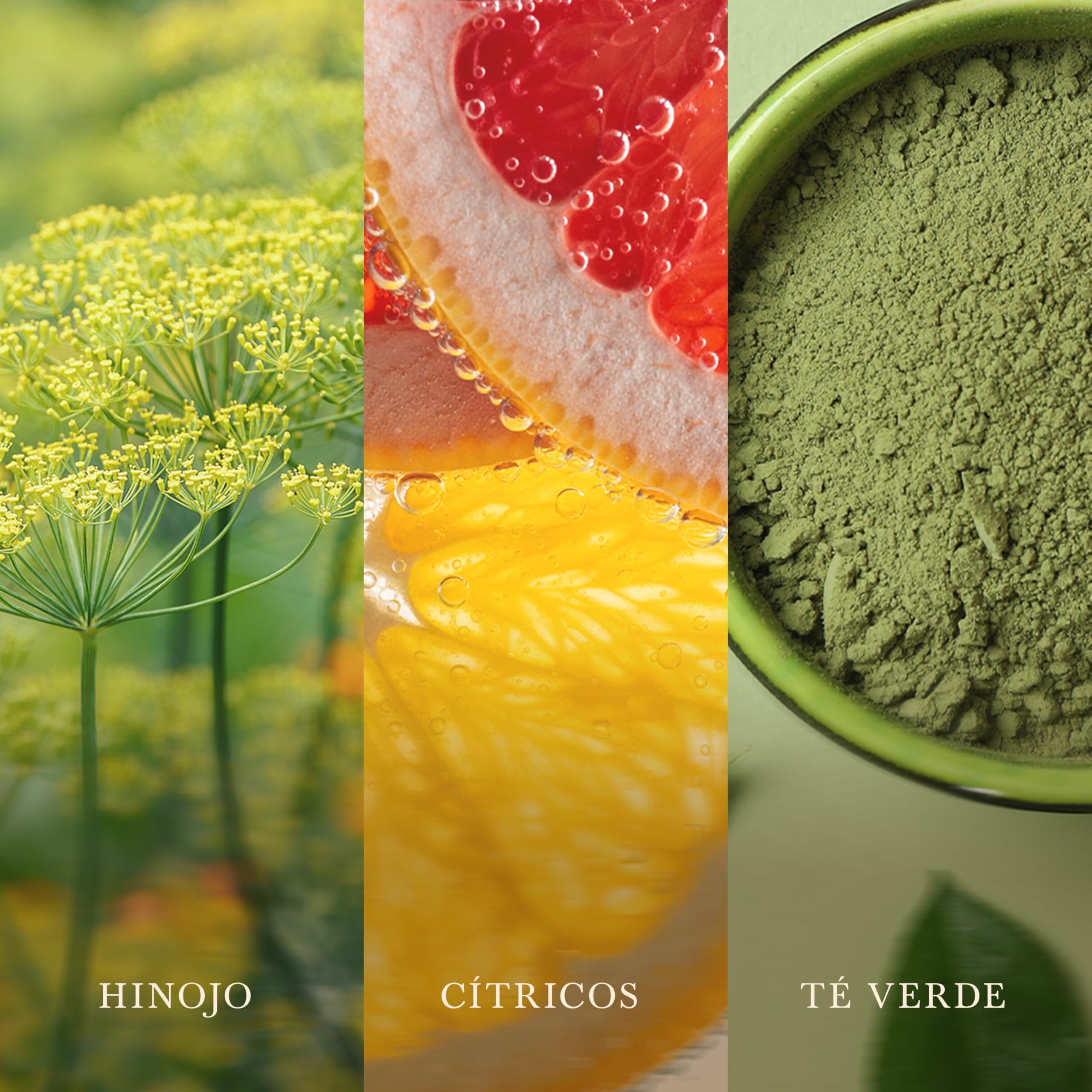 WoodWick | Vela Mediana | Matcha Zest | Gran regalo para mujeres