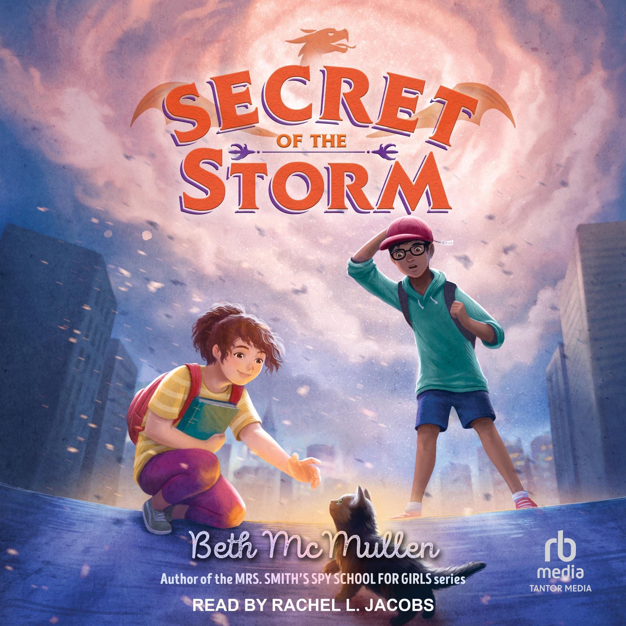 Cover art for Secret of the Storm