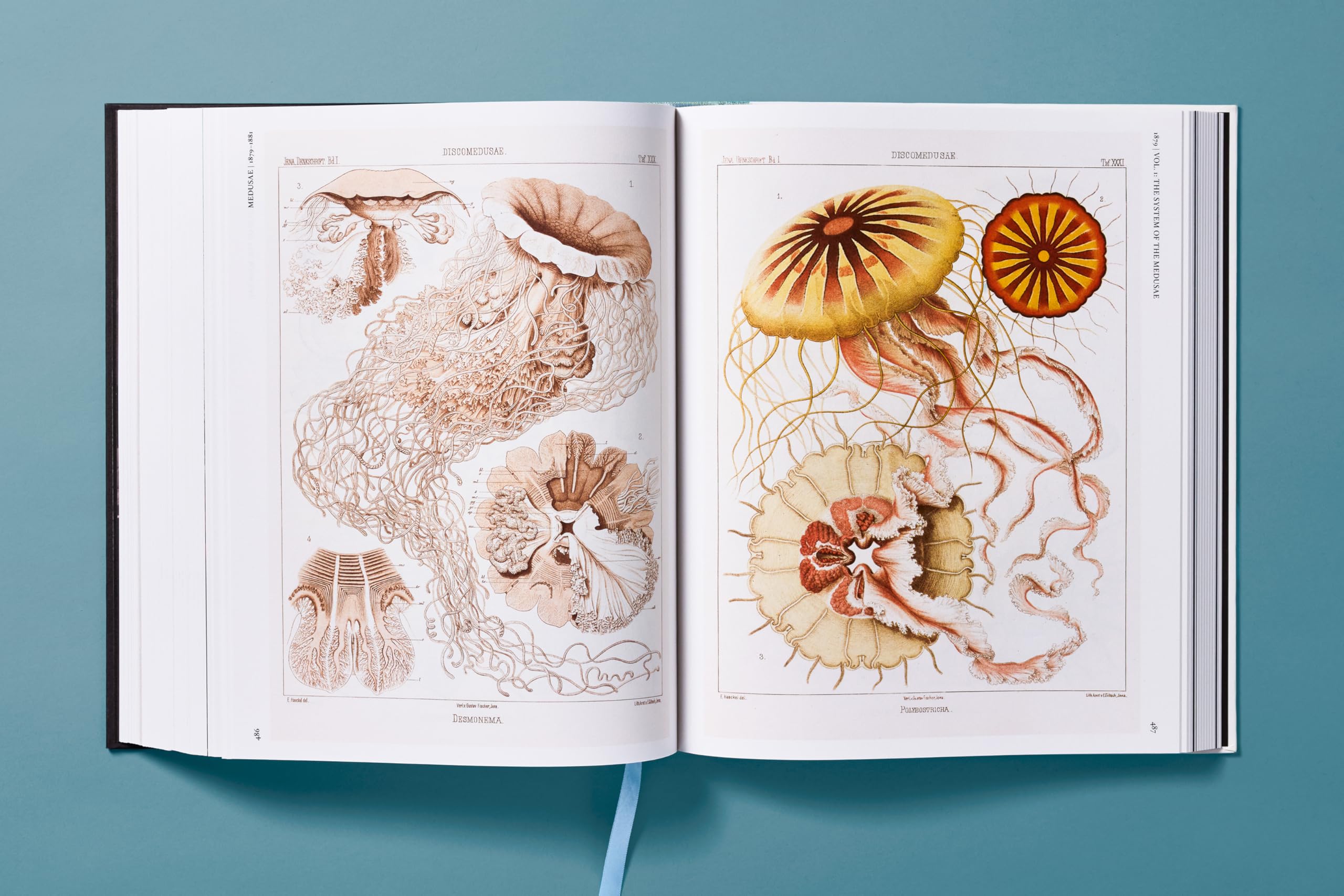 The Art and Science of Ernst Haeckel