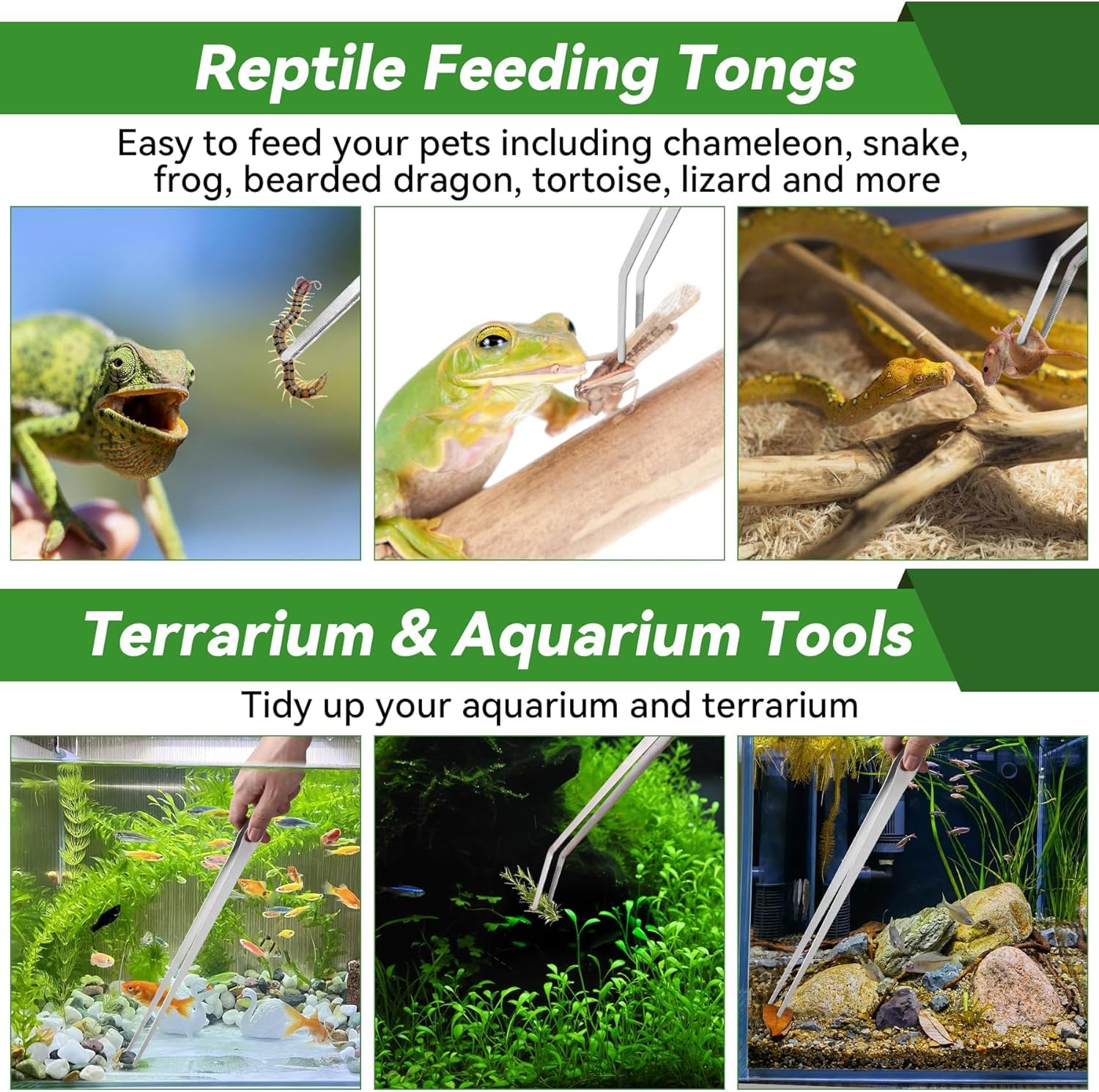 2 pinzas largas para acuario, pinzas curvadas de 27 cm, pinzas de alimentación de reptiles de acero inoxidable, herramientas de terrario, alimentador para lagartos, accesorios de tanque de serpiente