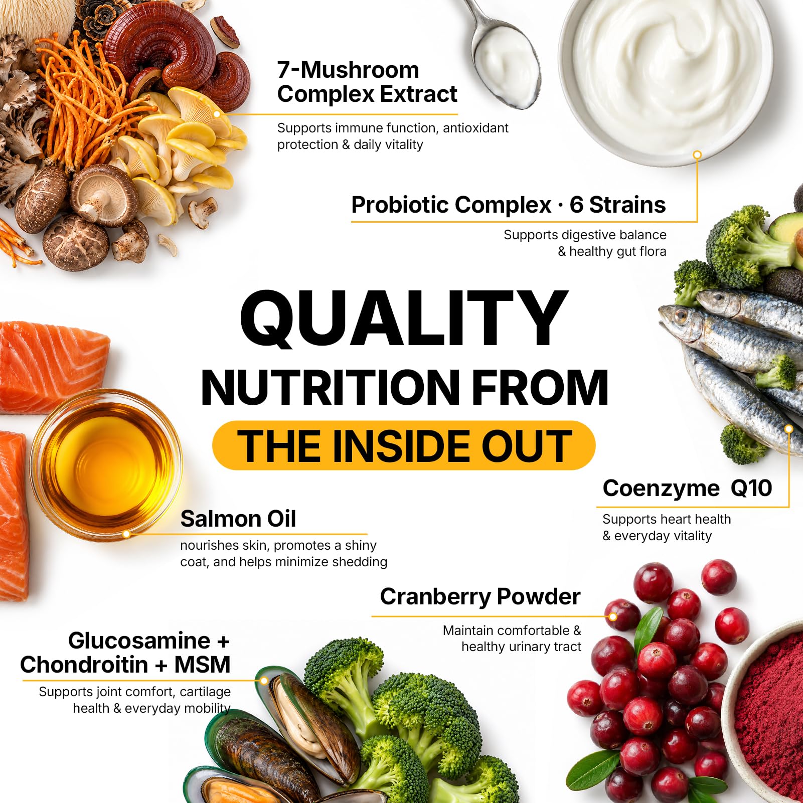 Turkey Tail Mushroom for Dogs 200 Count - Dog Multivitamin & Mushroom Chews — Amazon image 4
