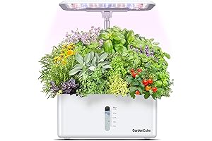 DIY Hydroponics Growing System: The Hassle-Free Guide to Indoor Herb Gardening