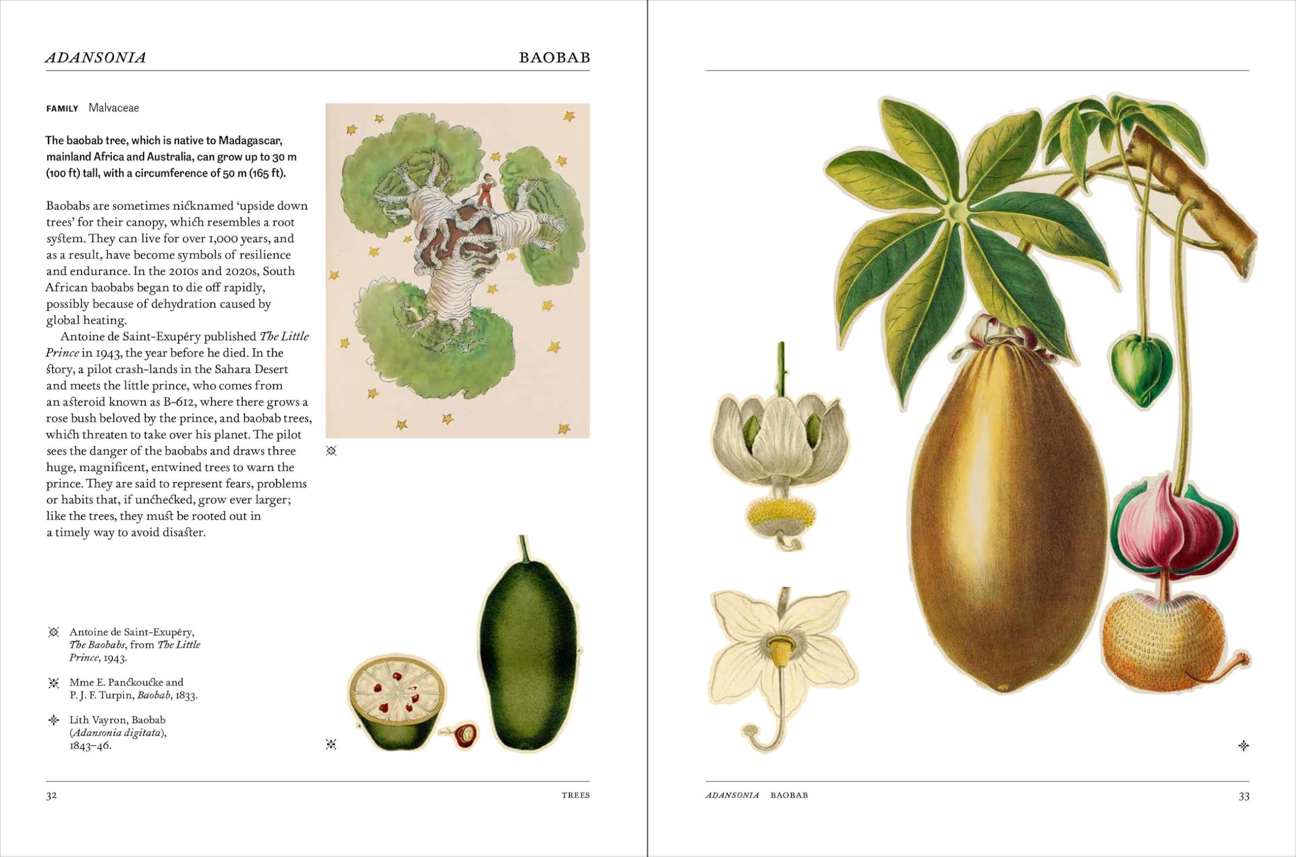 Flora: The Secret Language of Plants in Art