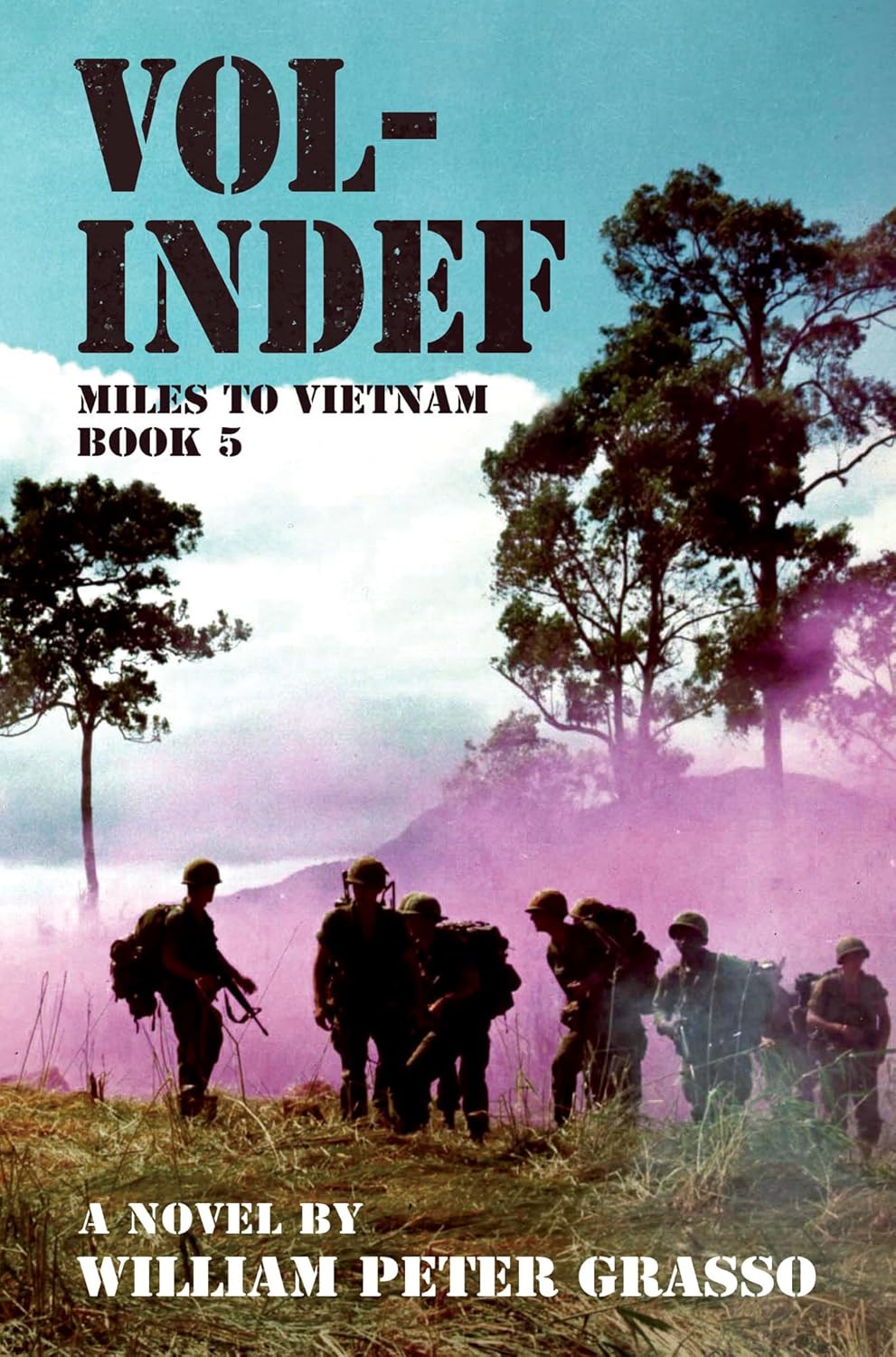 Amazon.com: VOL-INDEF (MILES TO VIETNAM Book 5) eBook : Grasso, William