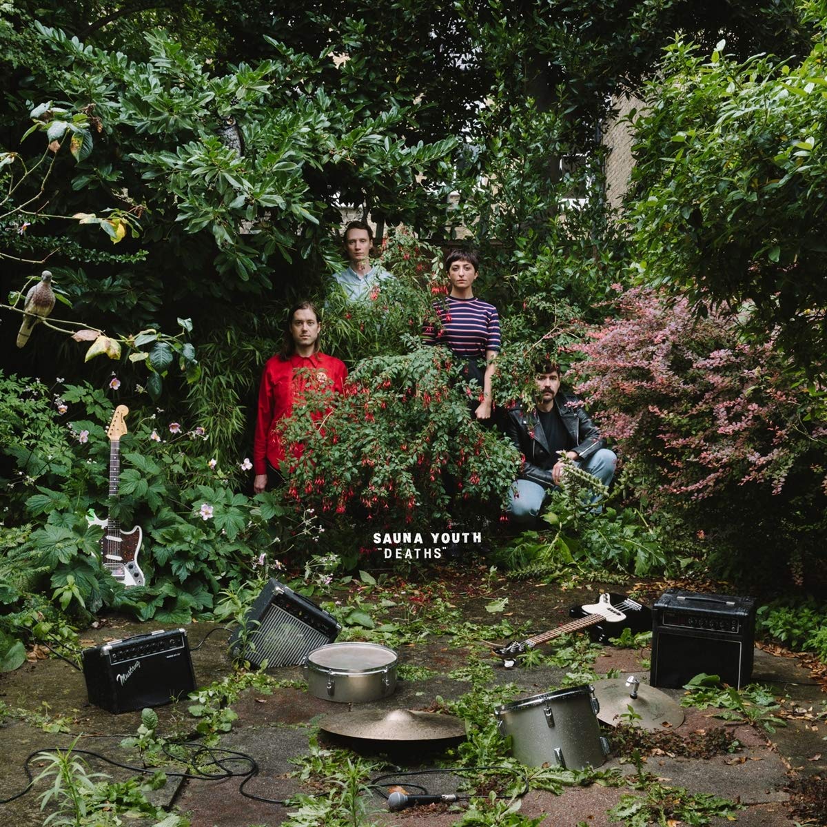 Deaths [VINYL]