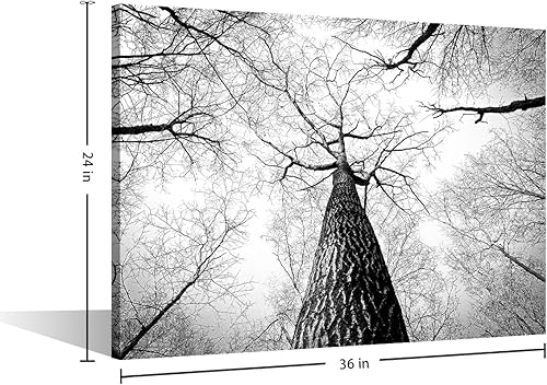 Vista 249 de 1 lienzo decorativo para pared, ferrocarril a través del bosque de pinos con niebla, decoración moderna para el hogar, sala de estar, arte de pared