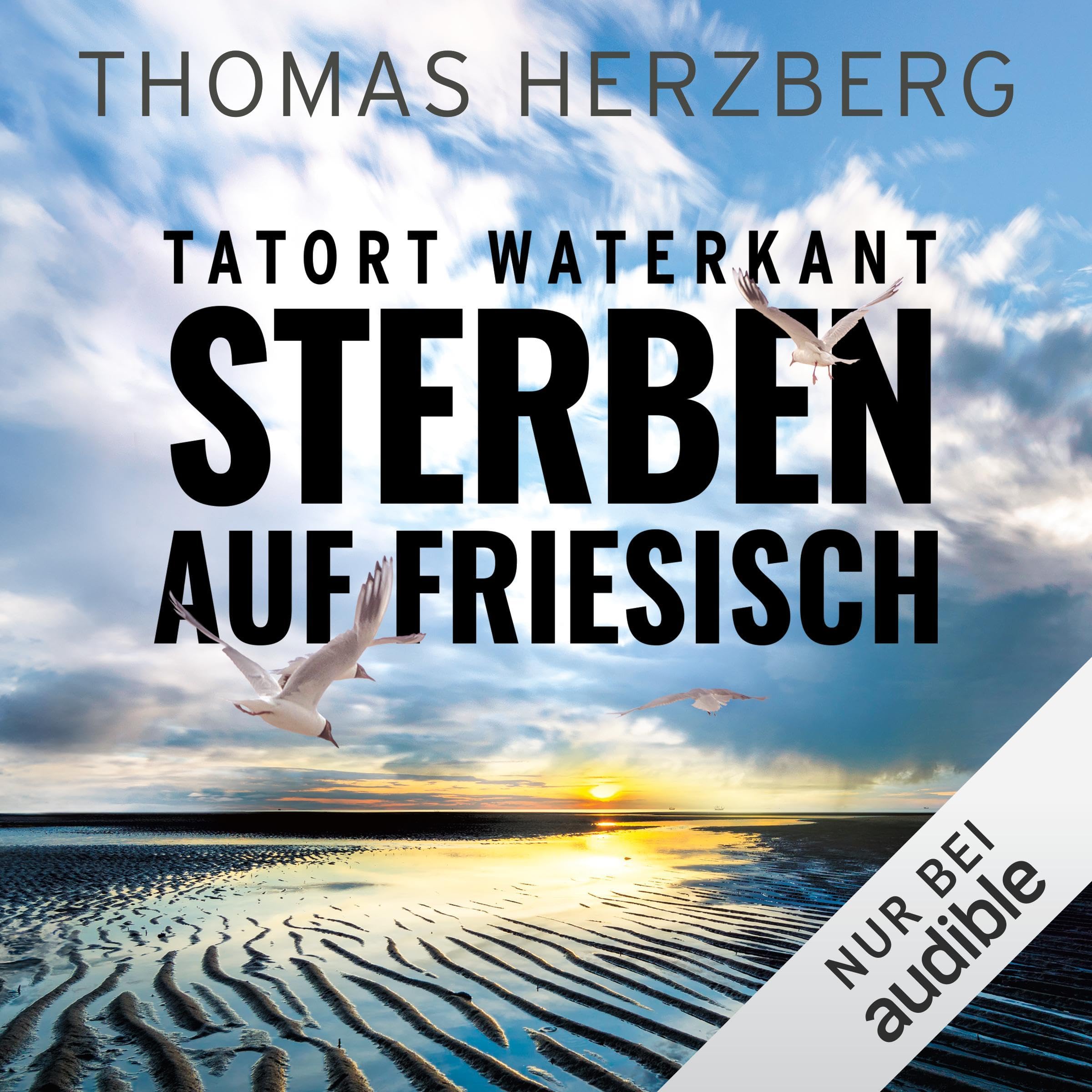 Cover art for Sterben auf Friesisch