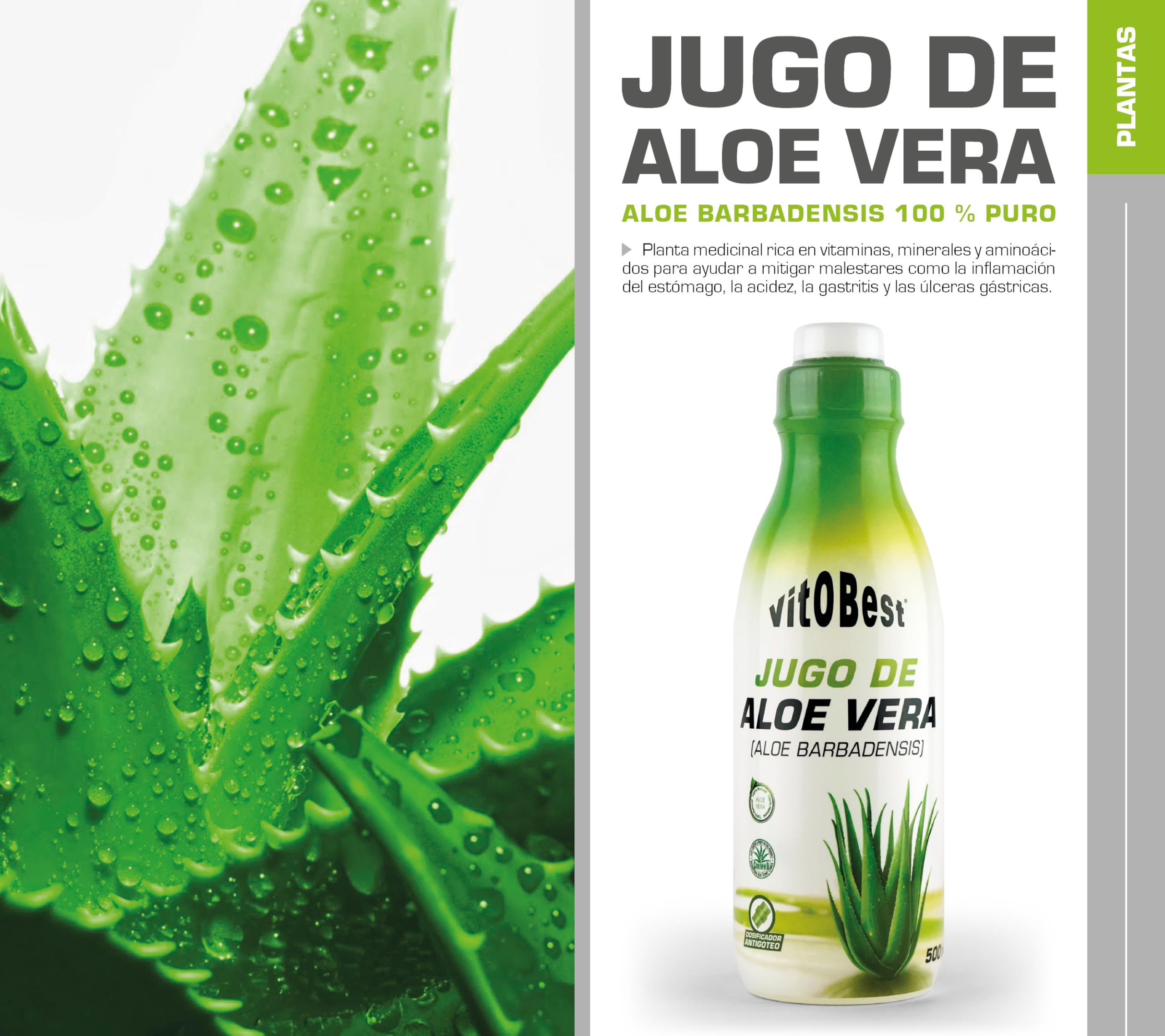 VITOBEST | Plantas Jugo de Aloe Vera | Ayuda a mitigar los pequeños malestares gástricos | Producto libre de aloína y apto para dietas veganas | 1 L