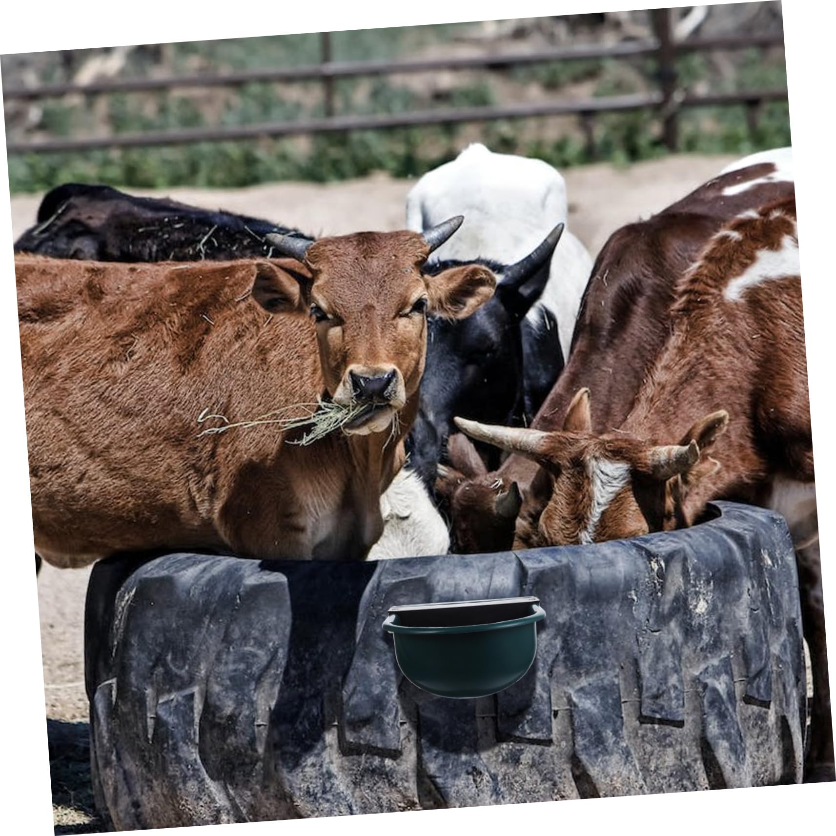 Bebedero Automático para Vacas y Ganado, Nivel Constante, Azul | Plástico, Uso en Granja, sin Deformación ni Óxido, Limpieza Sanitaria, para Ovejas y Bovinos Color Aleatorio